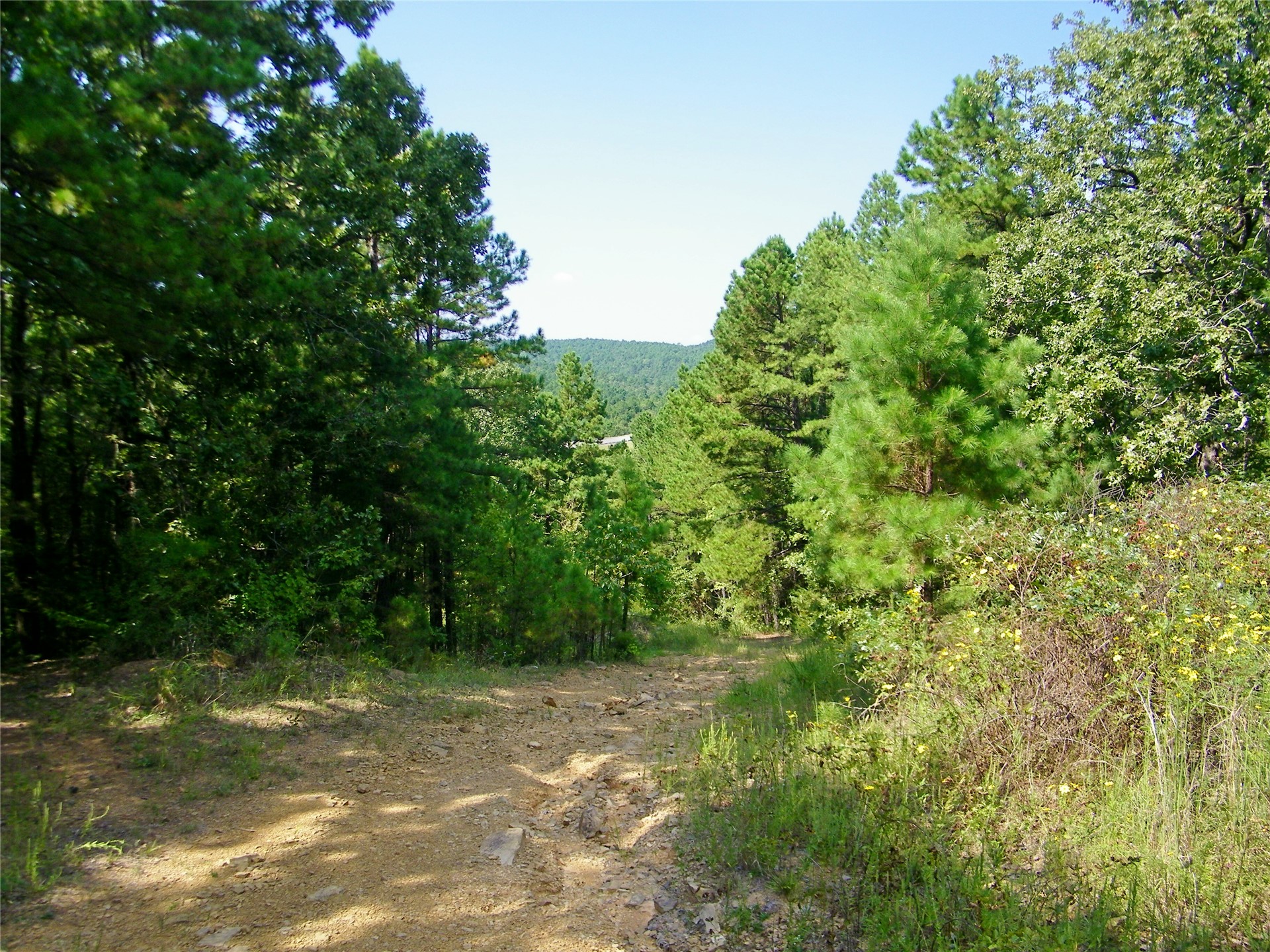 259 Highway Property Photo 11