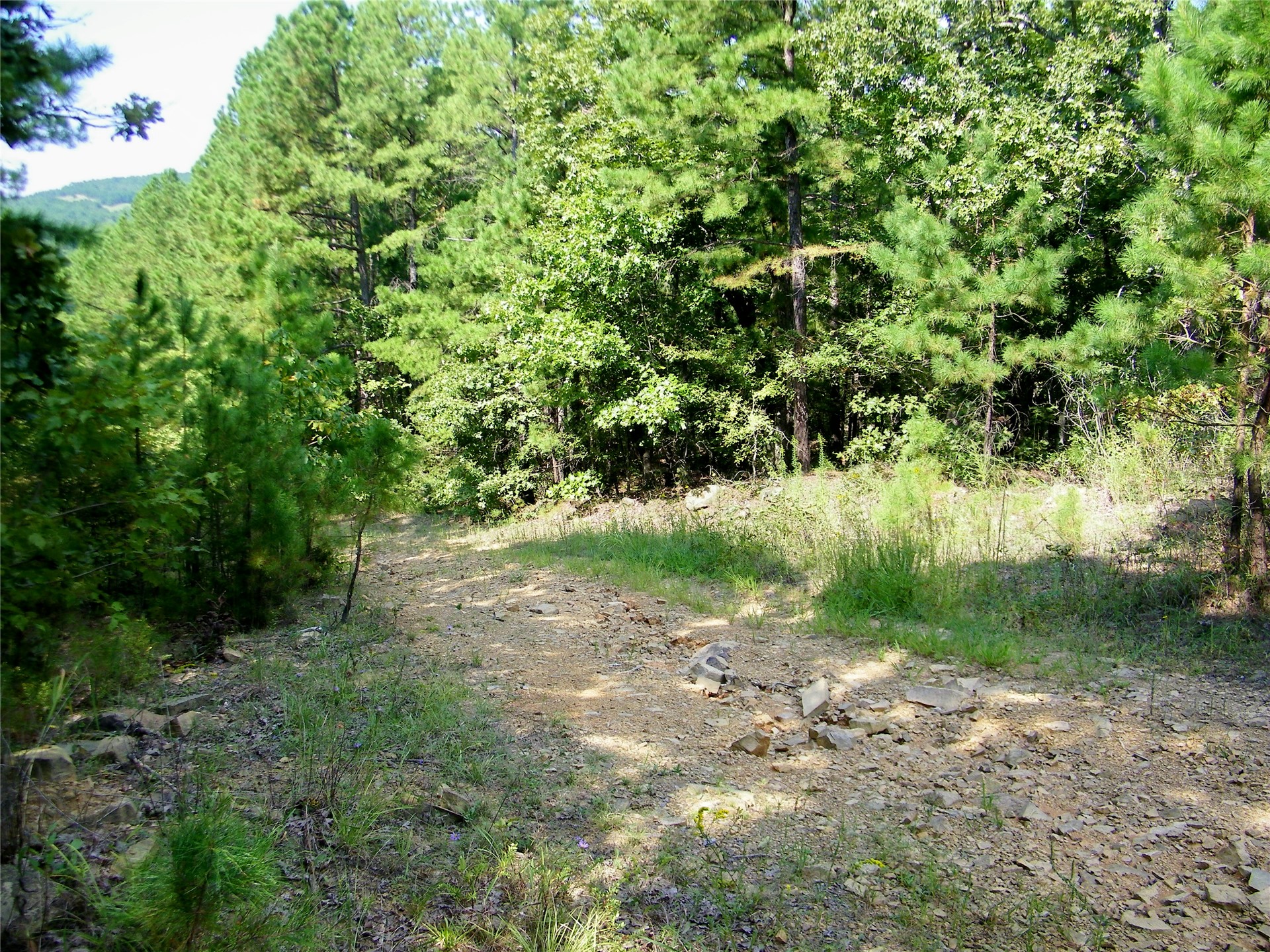 259 Highway Property Photo 12