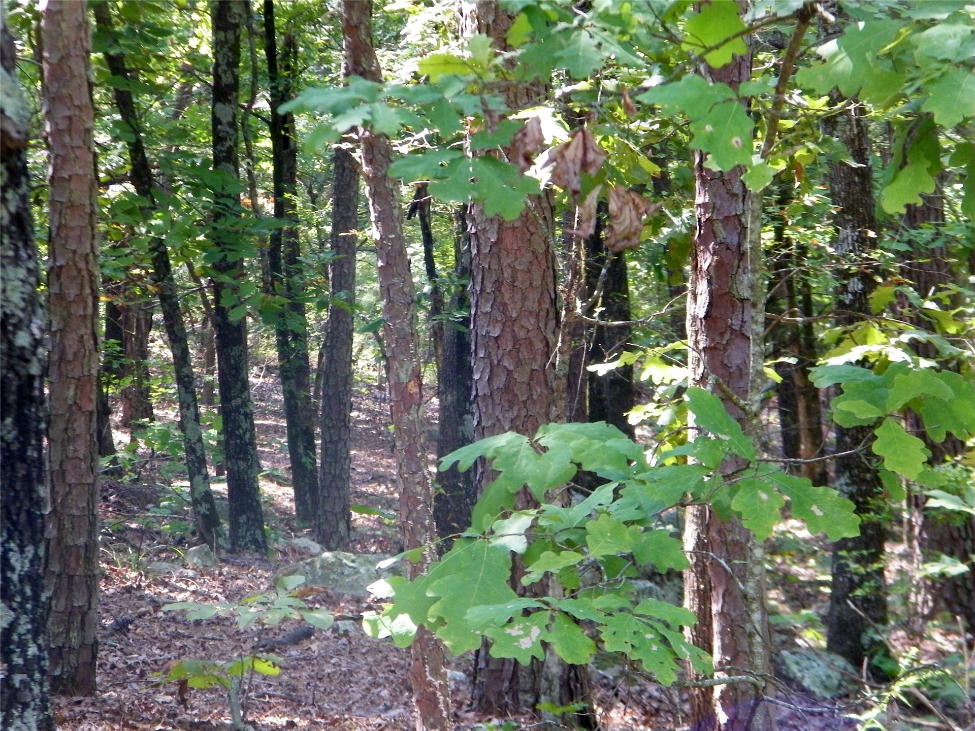 259 Highway Property Photo 13