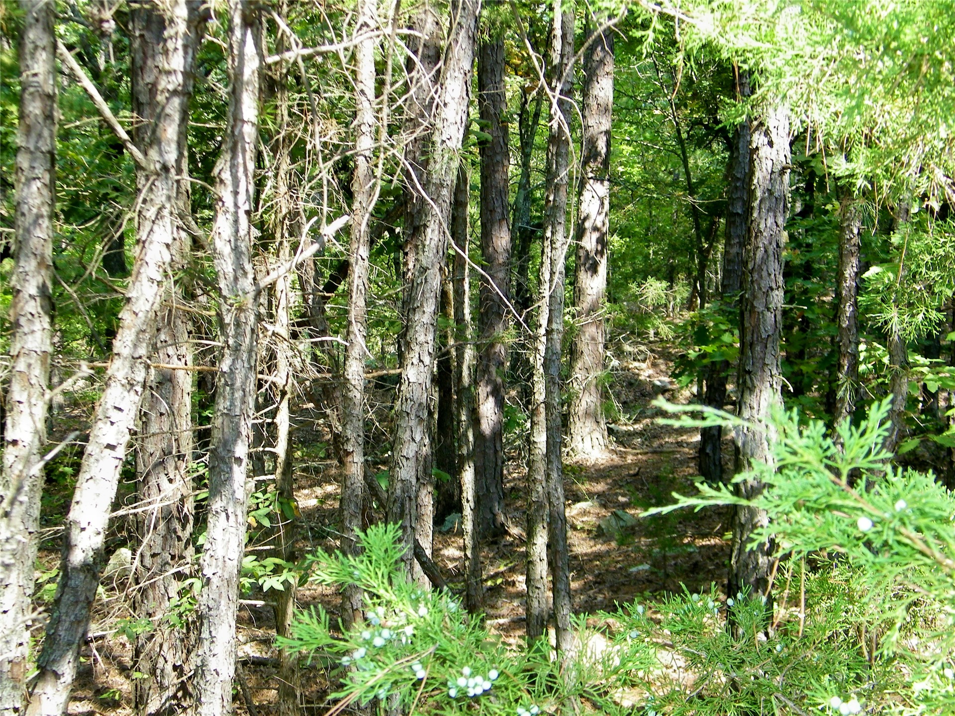 259 Highway Property Photo 16