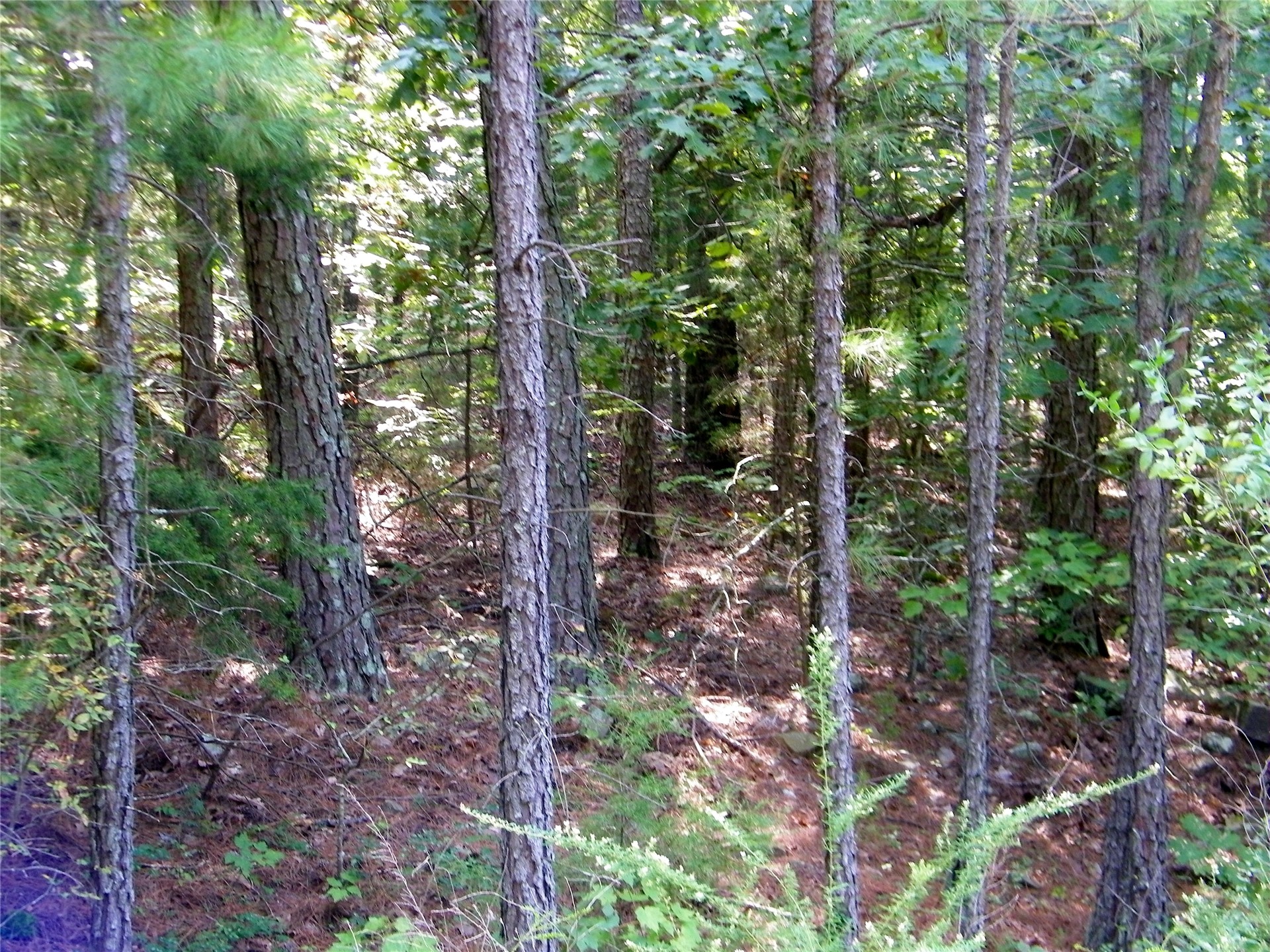 259 Highway Property Photo 18
