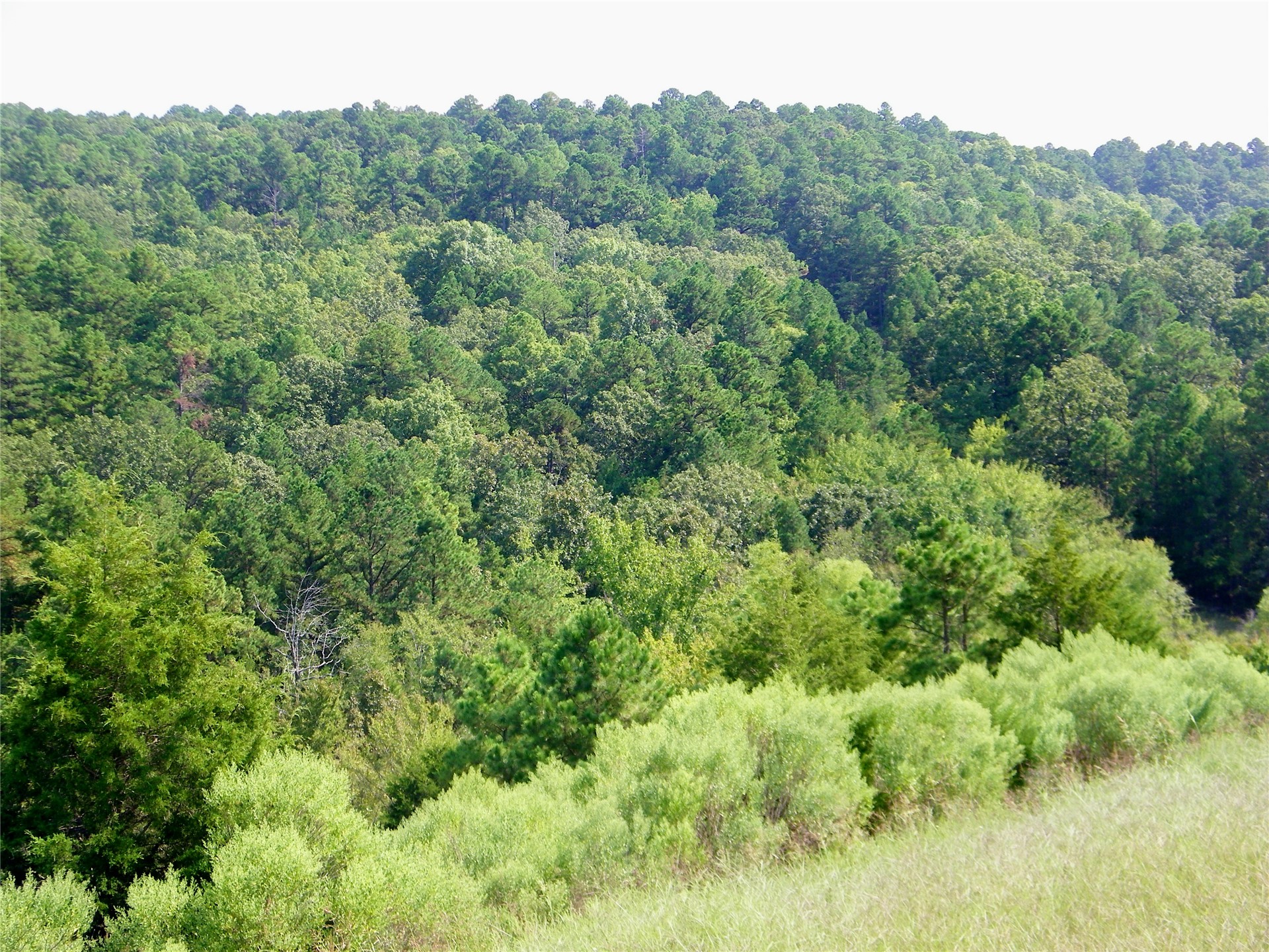 259 Highway Property Photo 27