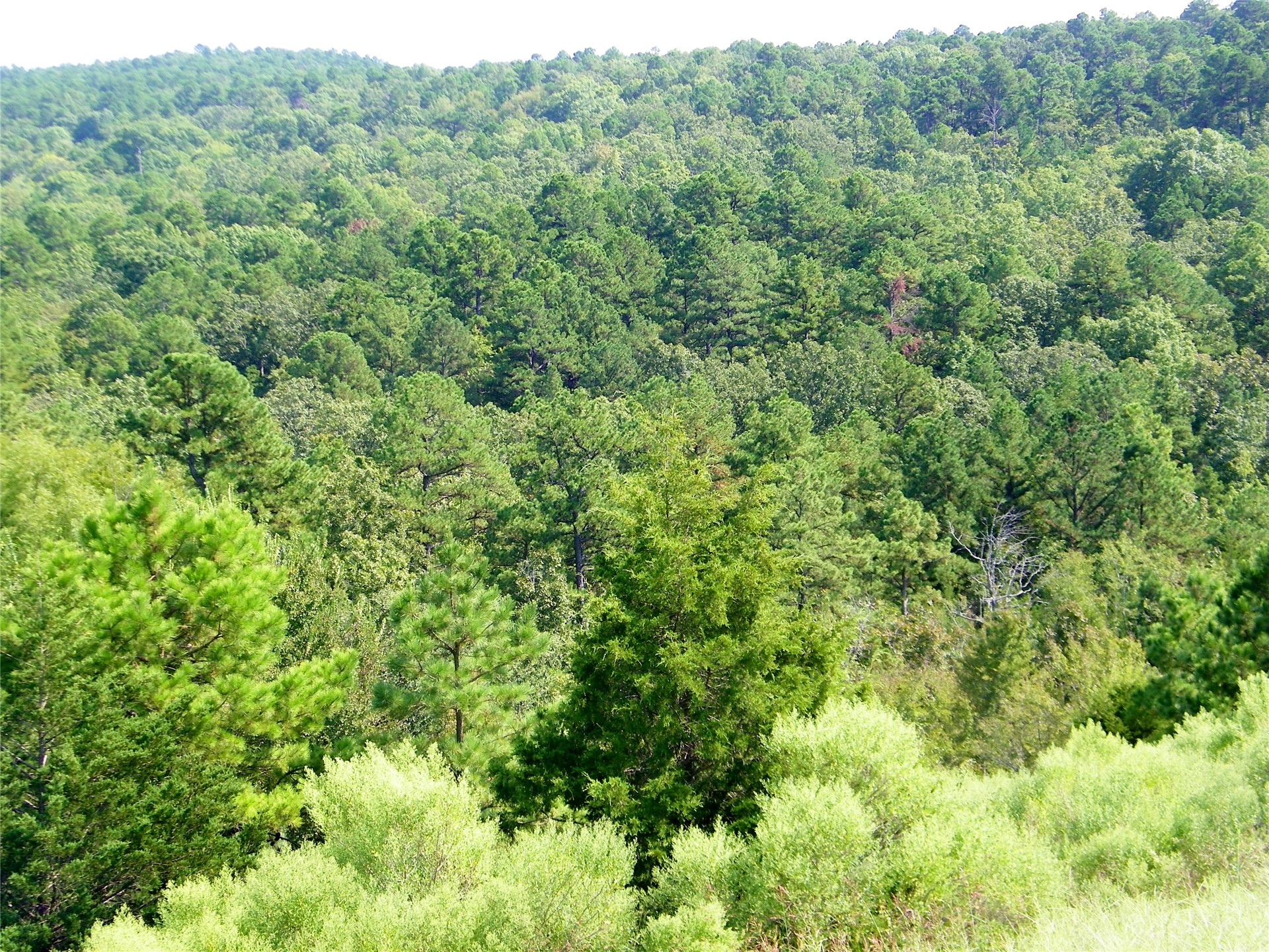 259 Highway Property Photo 28