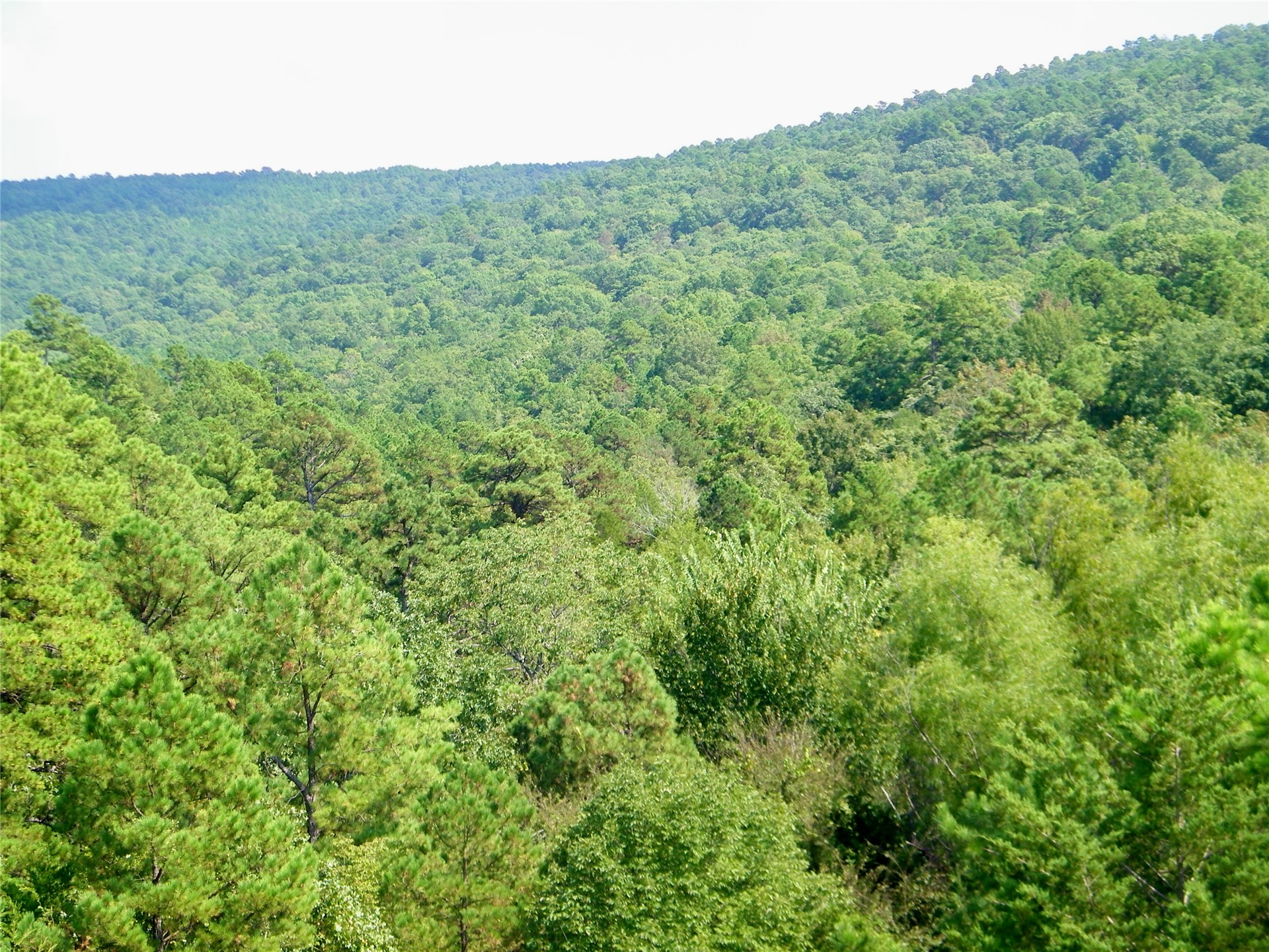 259 Highway Property Photo 29