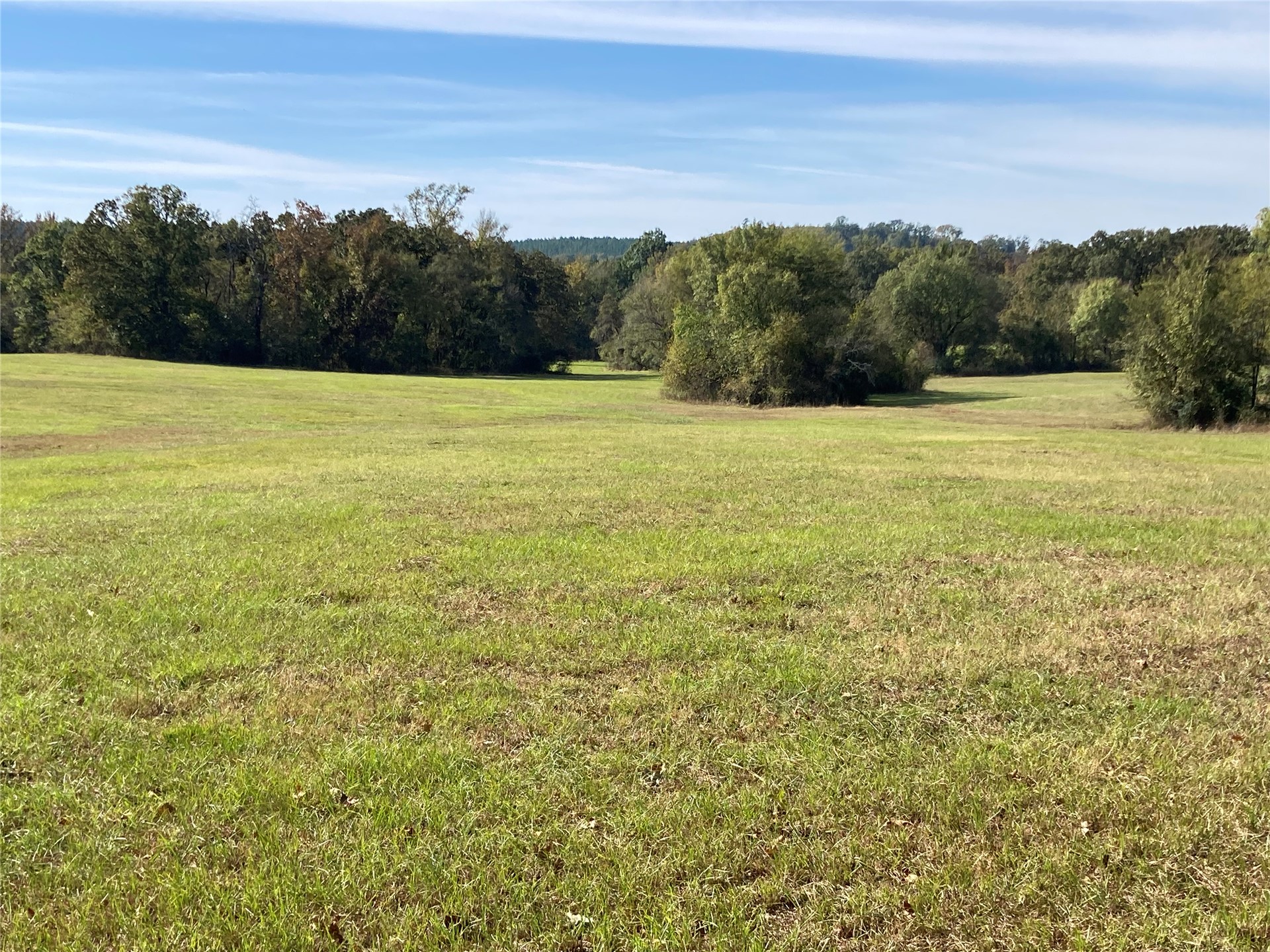 901 Sycamore Loop Property Photo 4