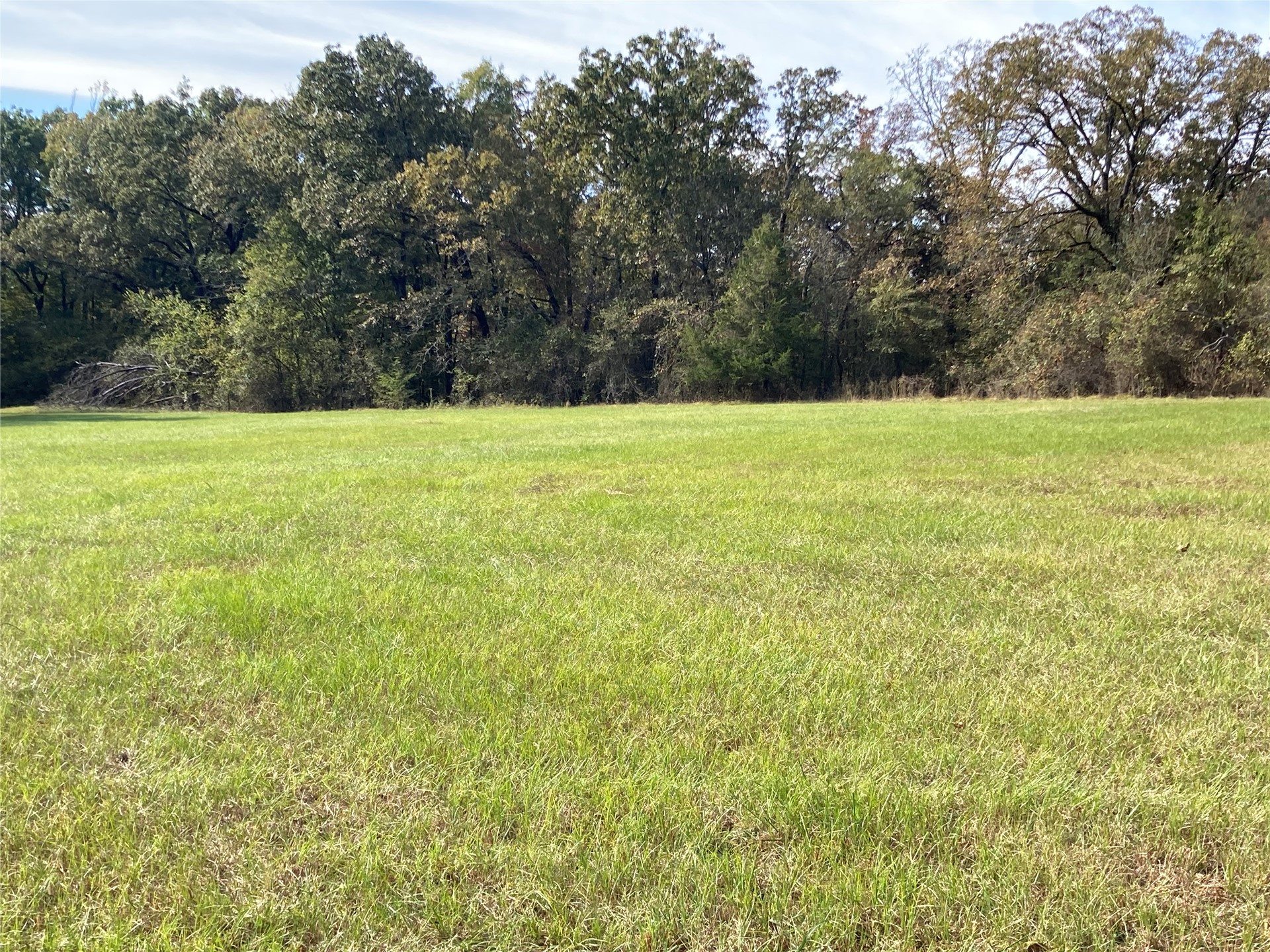 901 Sycamore Loop Property Photo 9