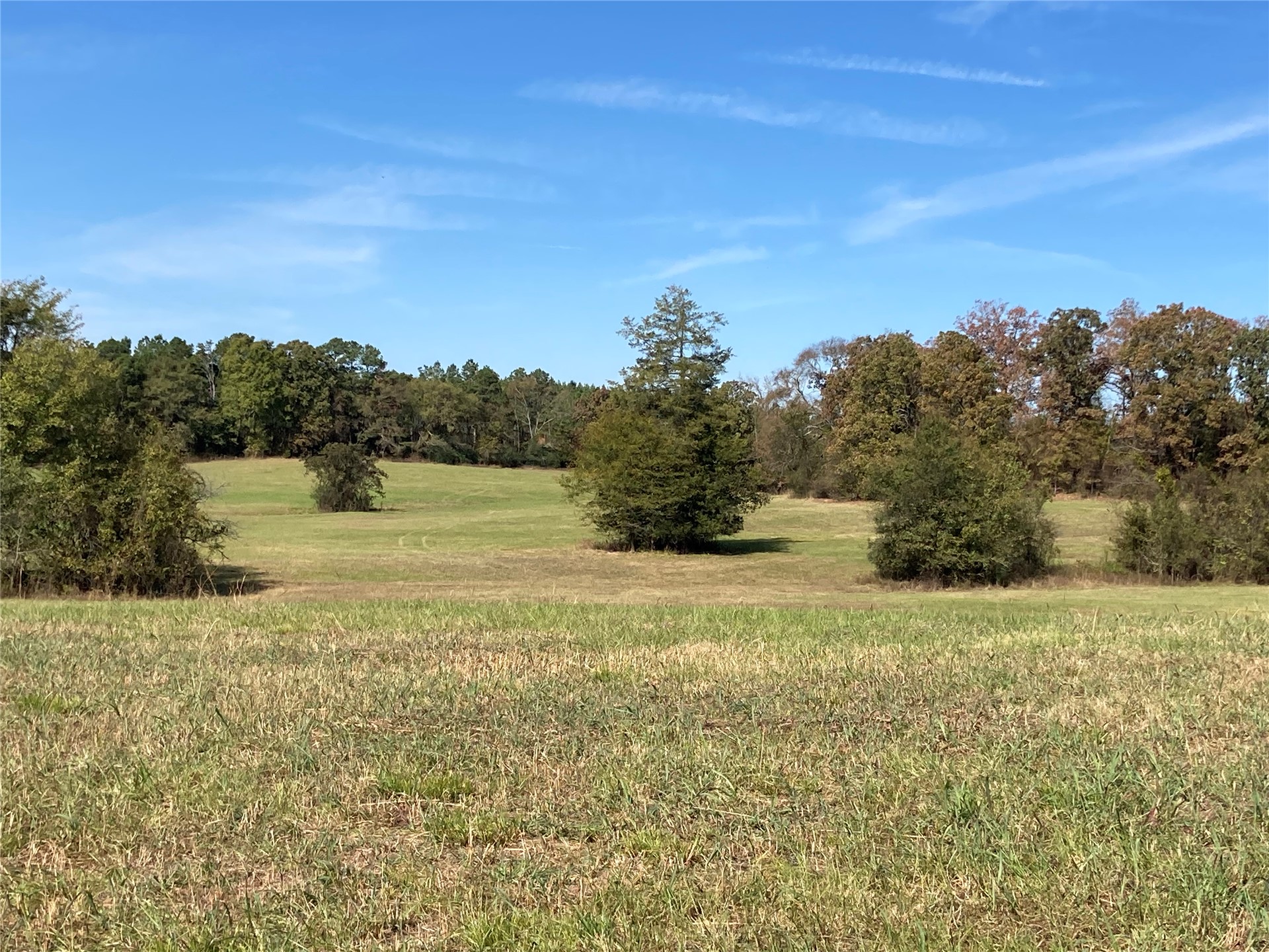 901 Sycamore Loop Property Photo 14