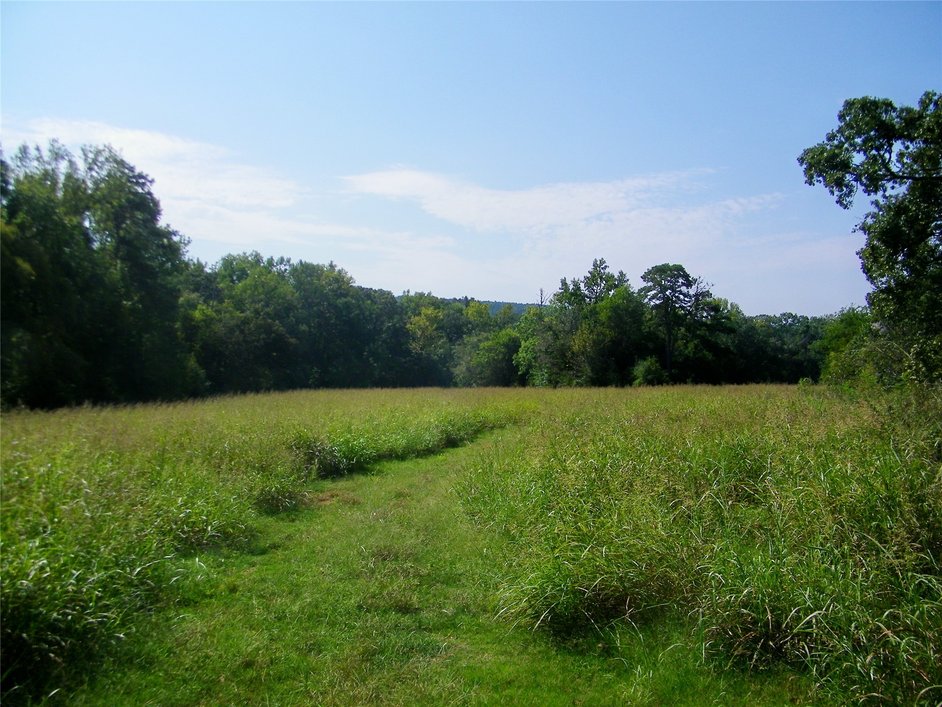901 Sycamore Loop Property Photo 19