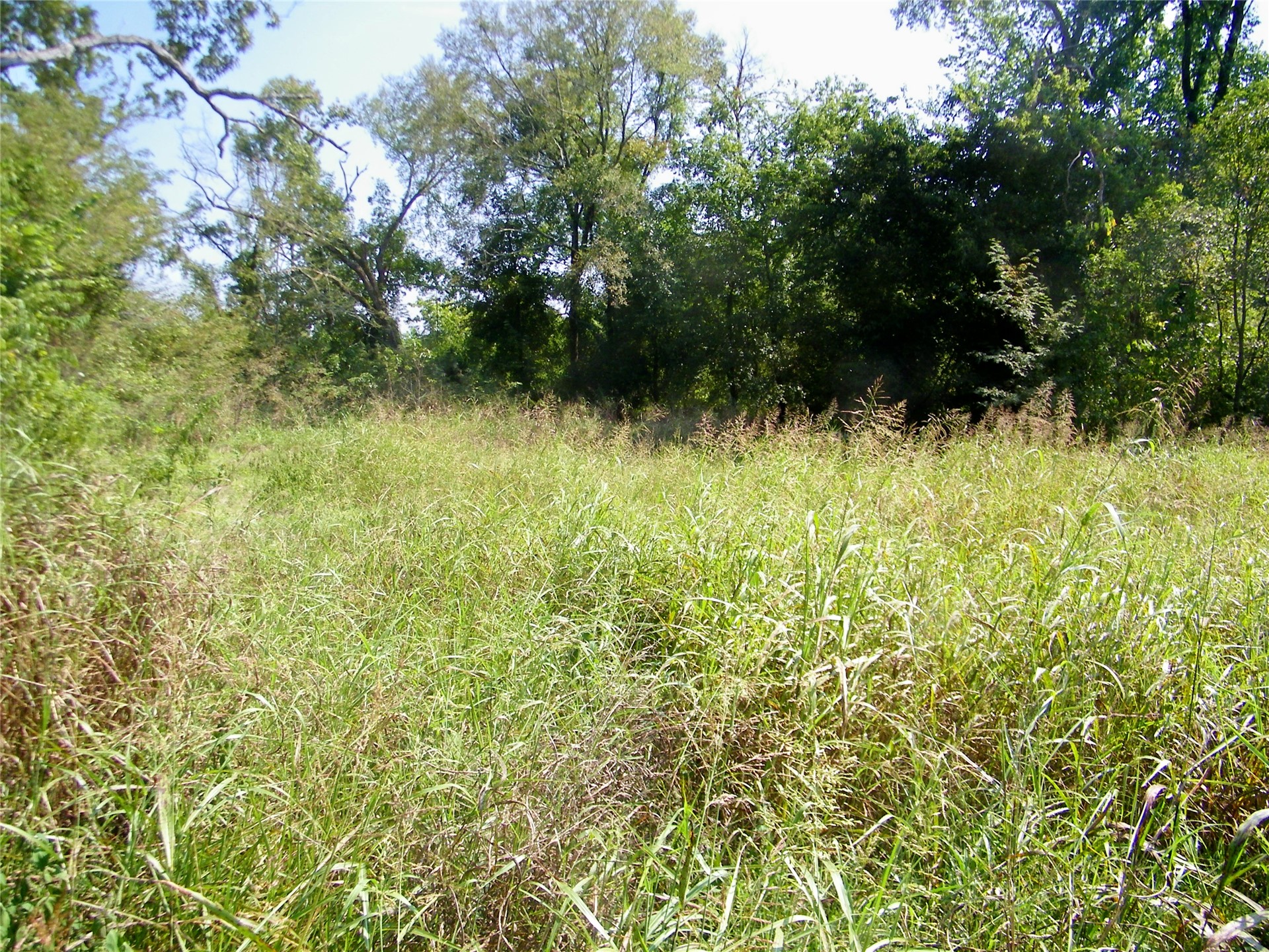 901 Sycamore Loop Property Photo 20