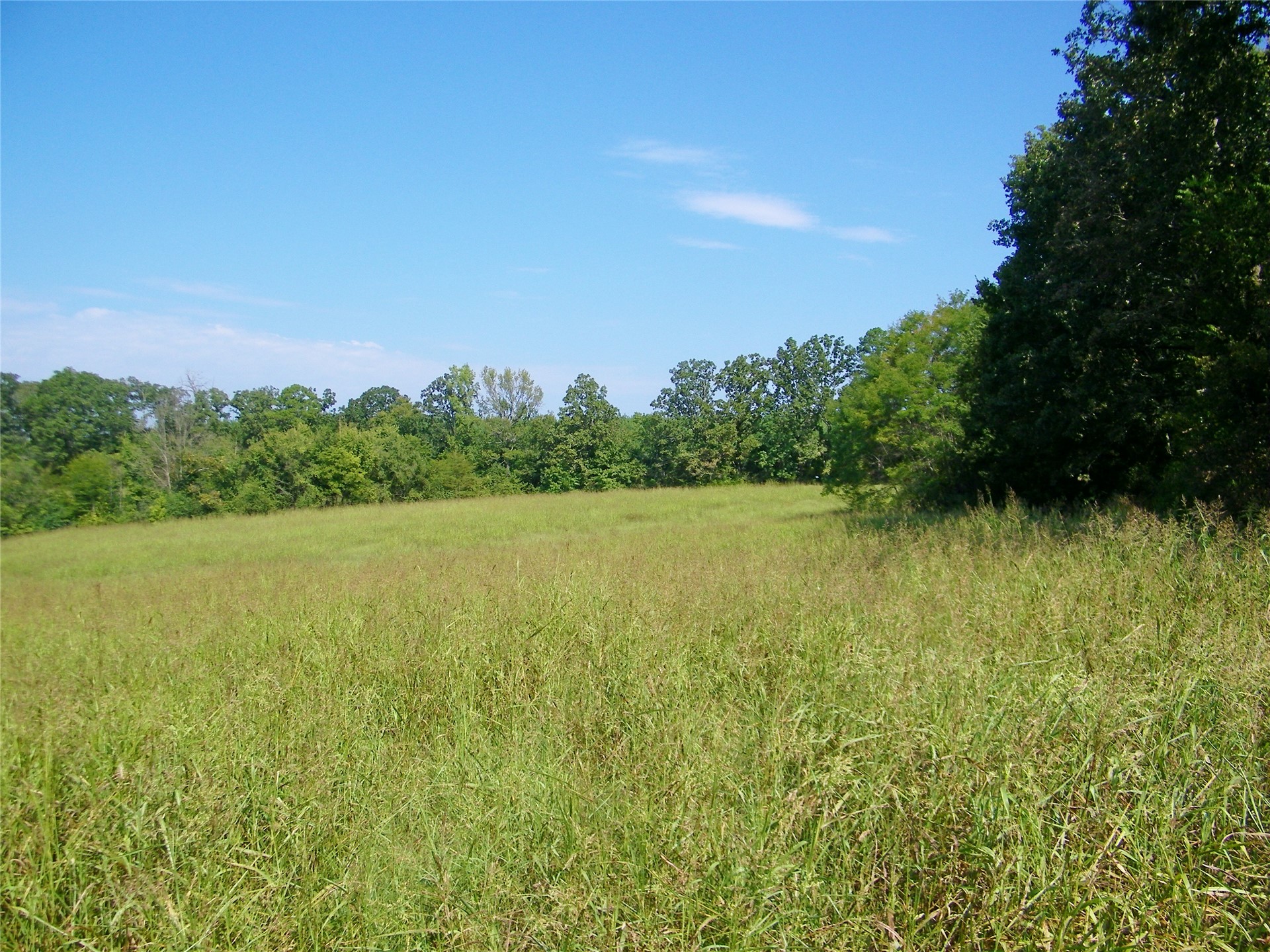 901 Sycamore Loop Property Photo 22