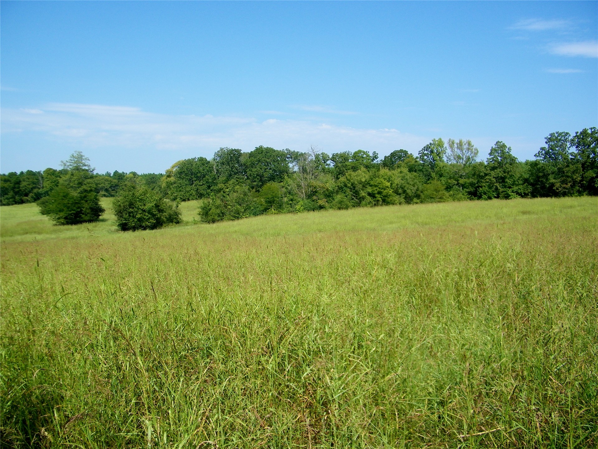 901 Sycamore Loop Property Photo 23