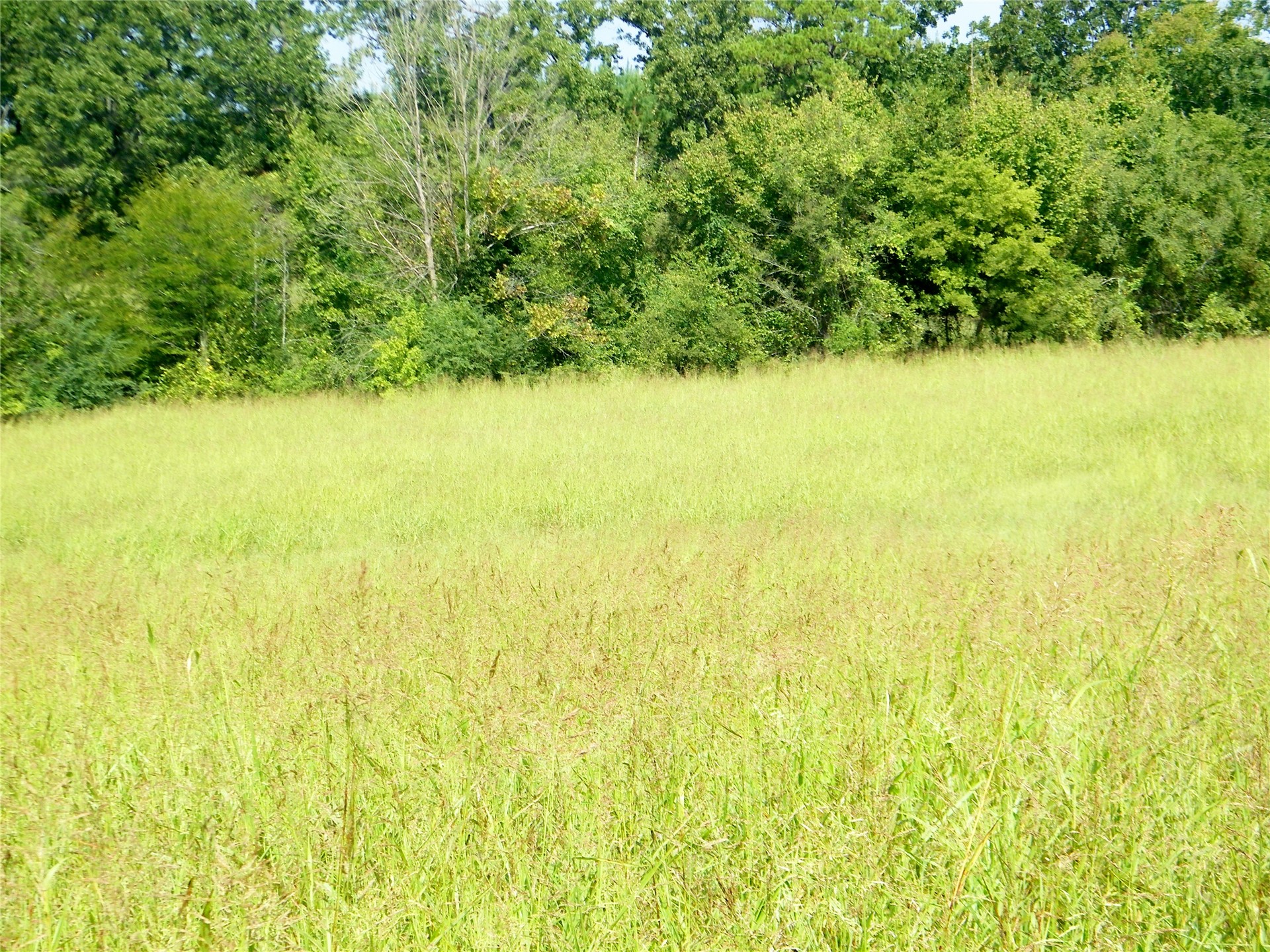 901 Sycamore Loop Property Photo 27