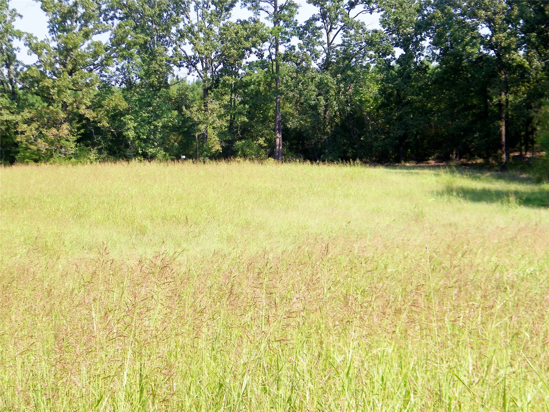 901 Sycamore Loop Property Photo 30