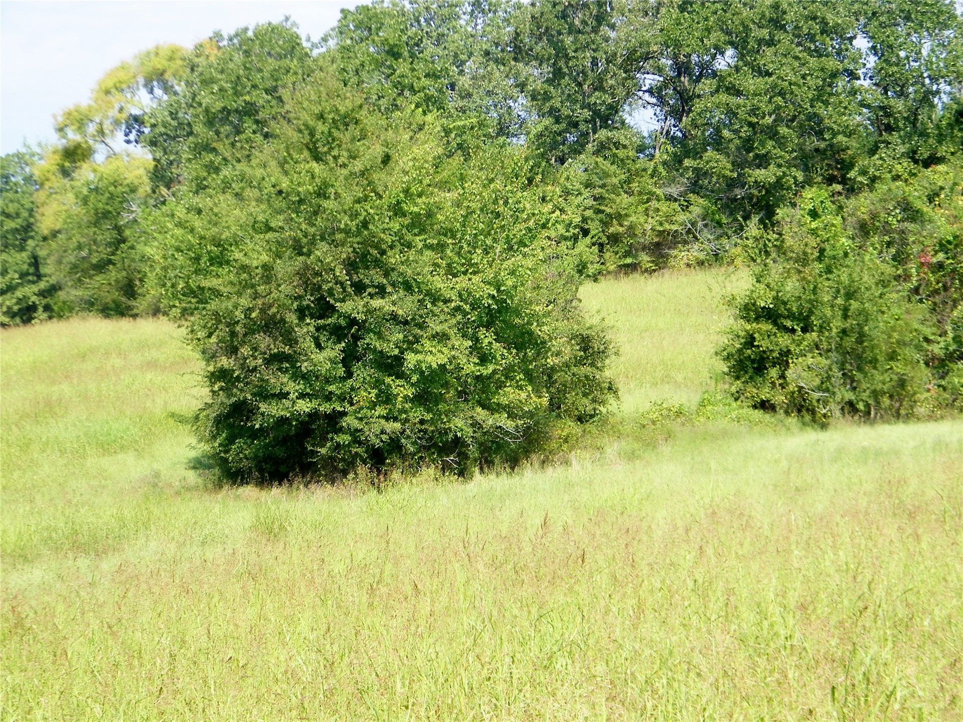 901 Sycamore Loop Property Photo 31