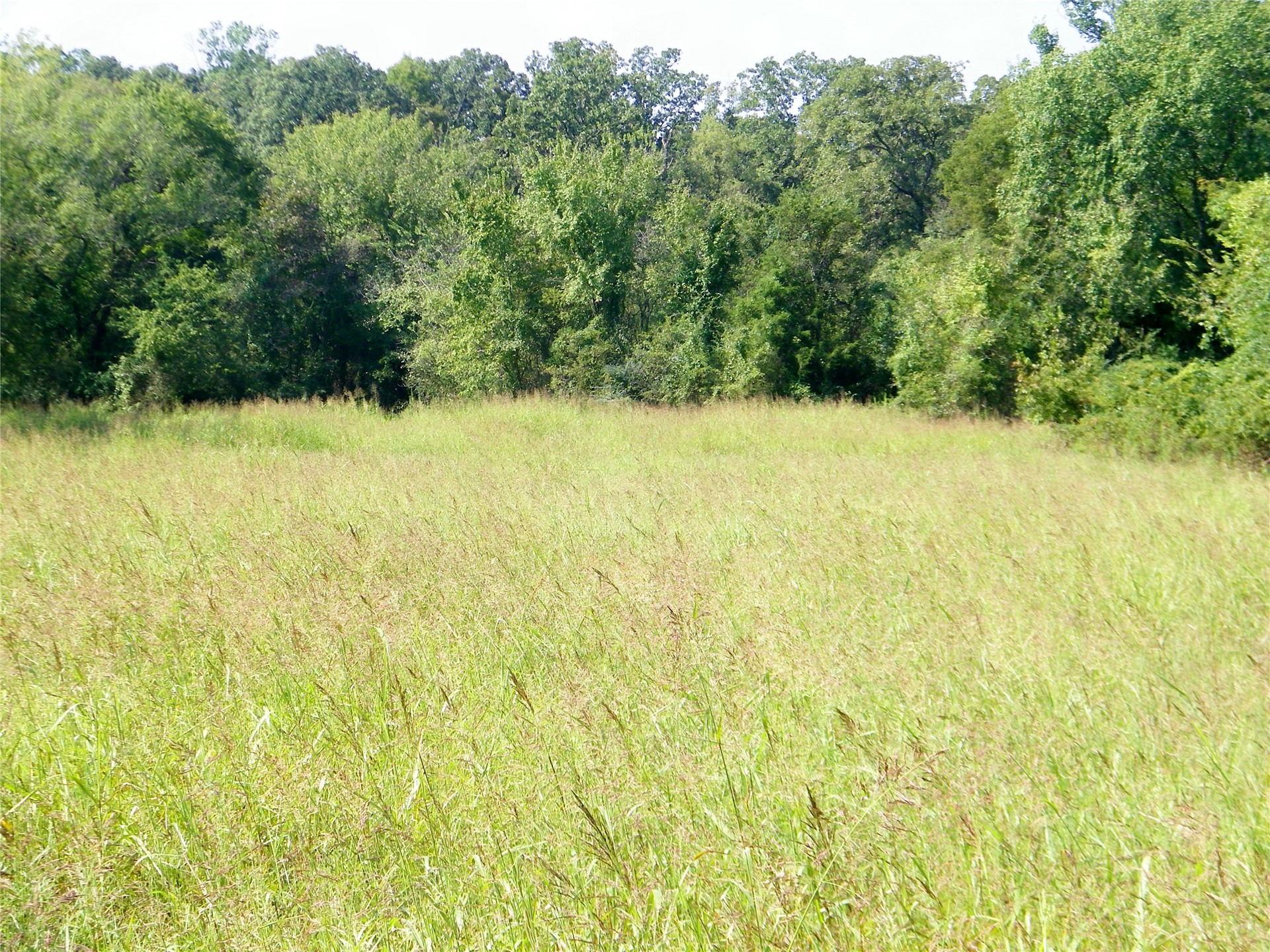 901 Sycamore Loop Property Photo 33