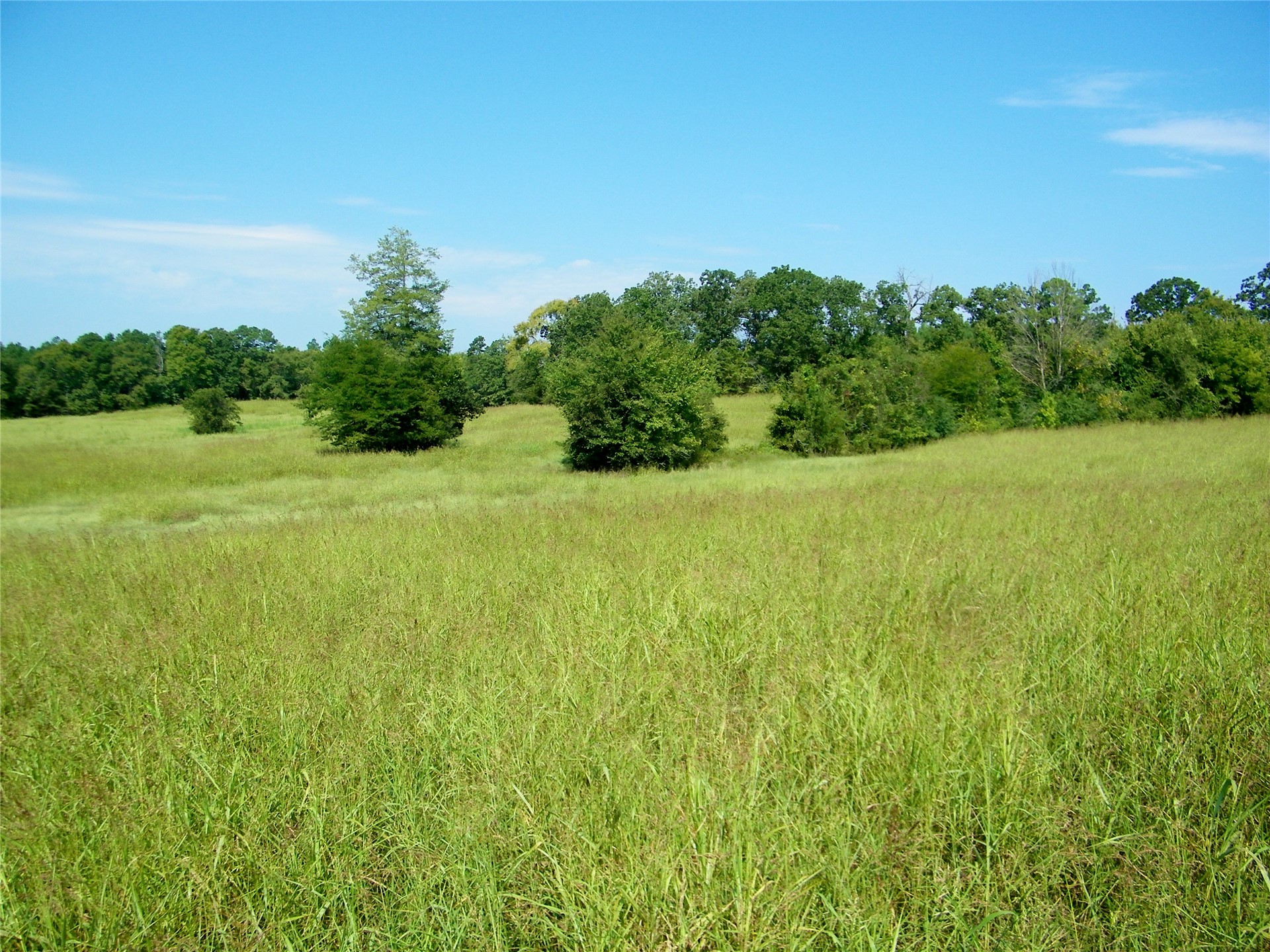 901 Sycamore Loop Property Photo 34