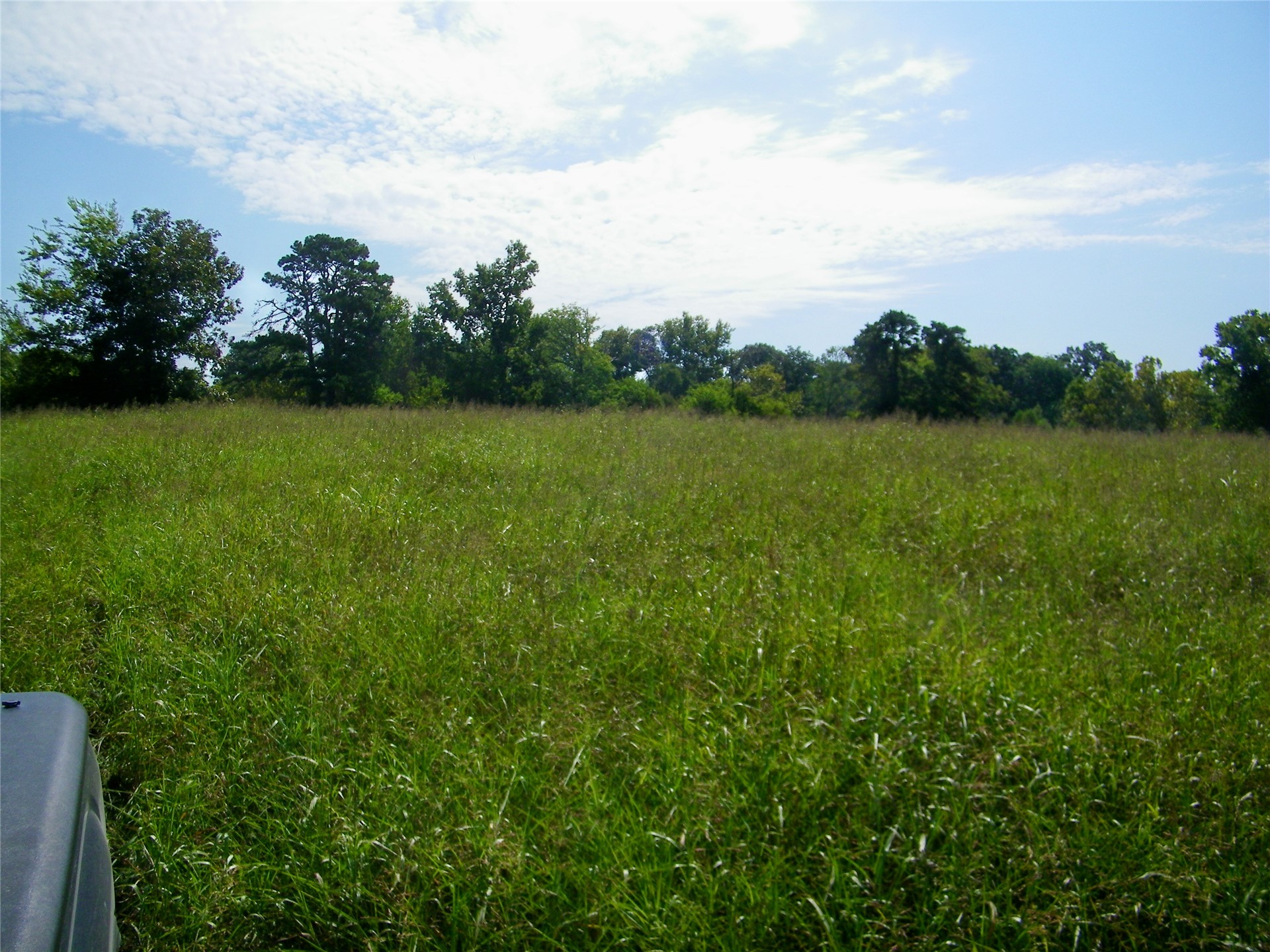 901 Sycamore Loop Property Photo 36