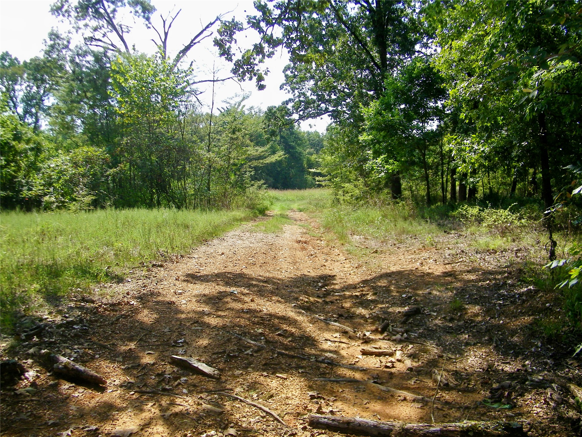 901 Sycamore Loop Property Photo 42