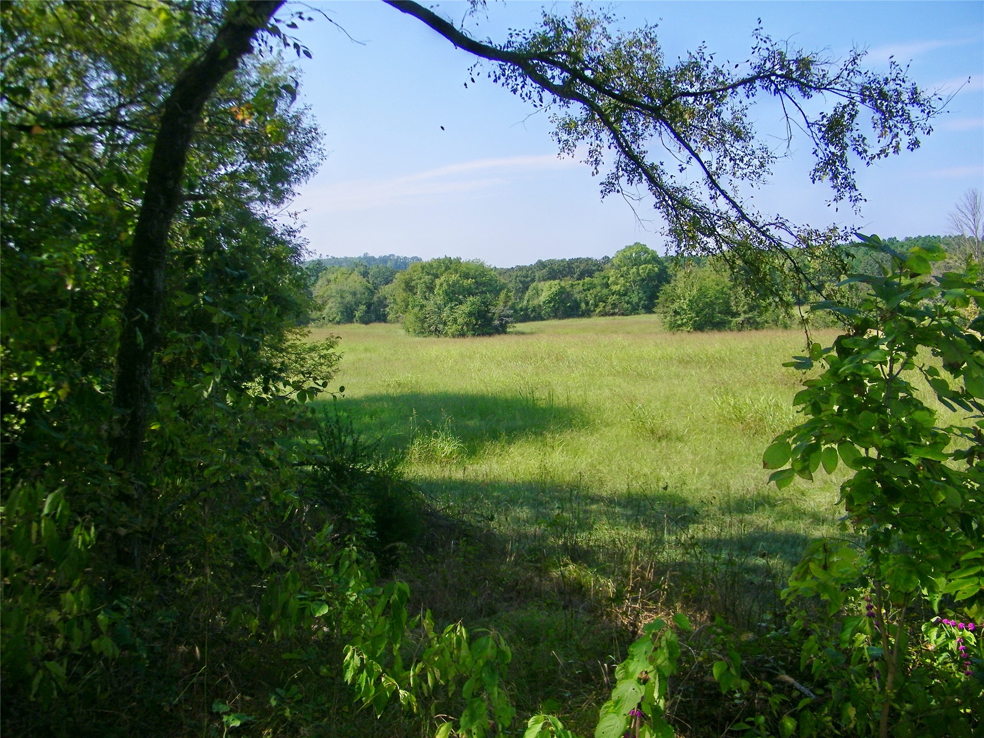 901 Sycamore Loop Property Photo 47