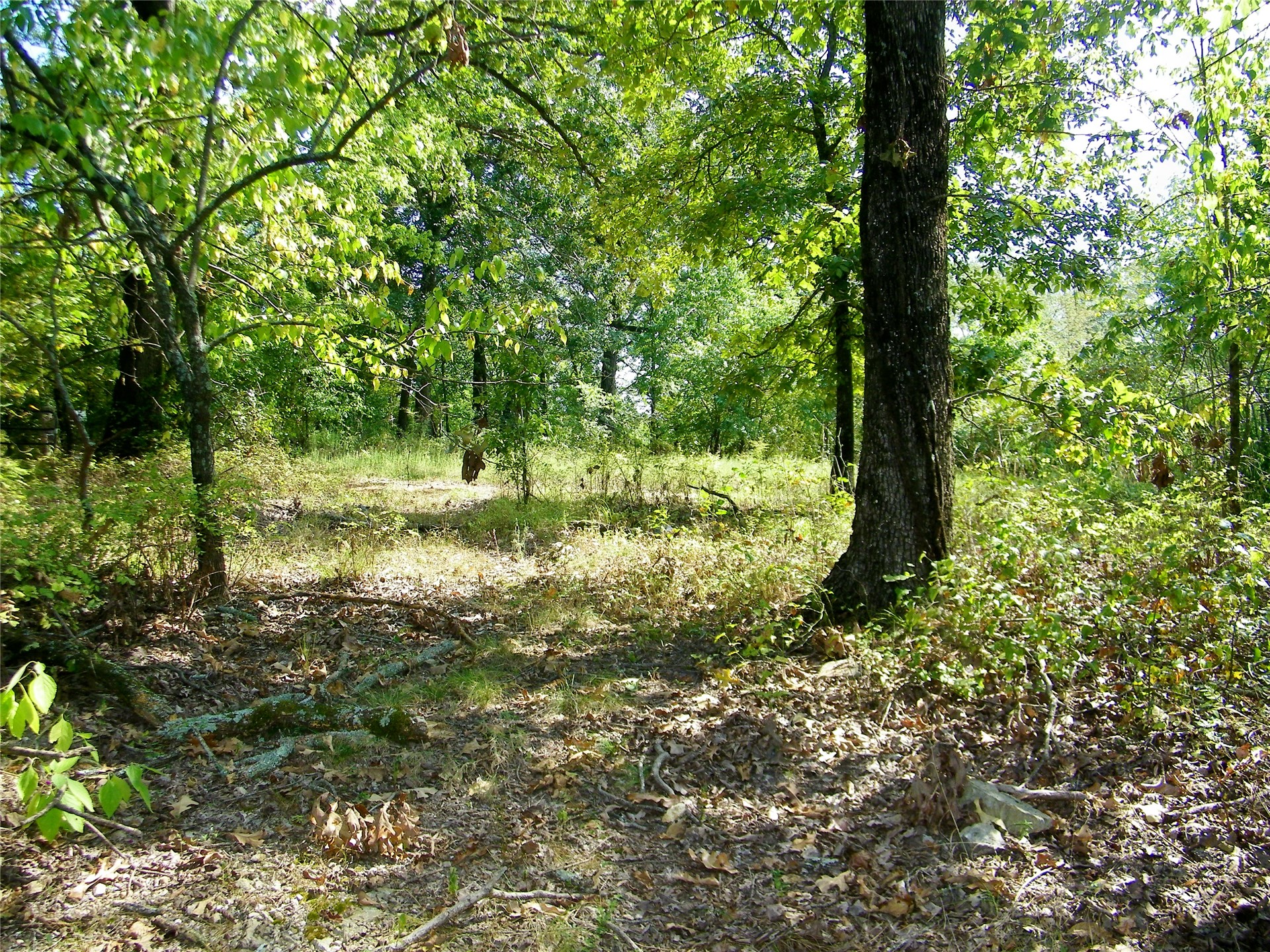 901 Sycamore Loop Property Photo 50
