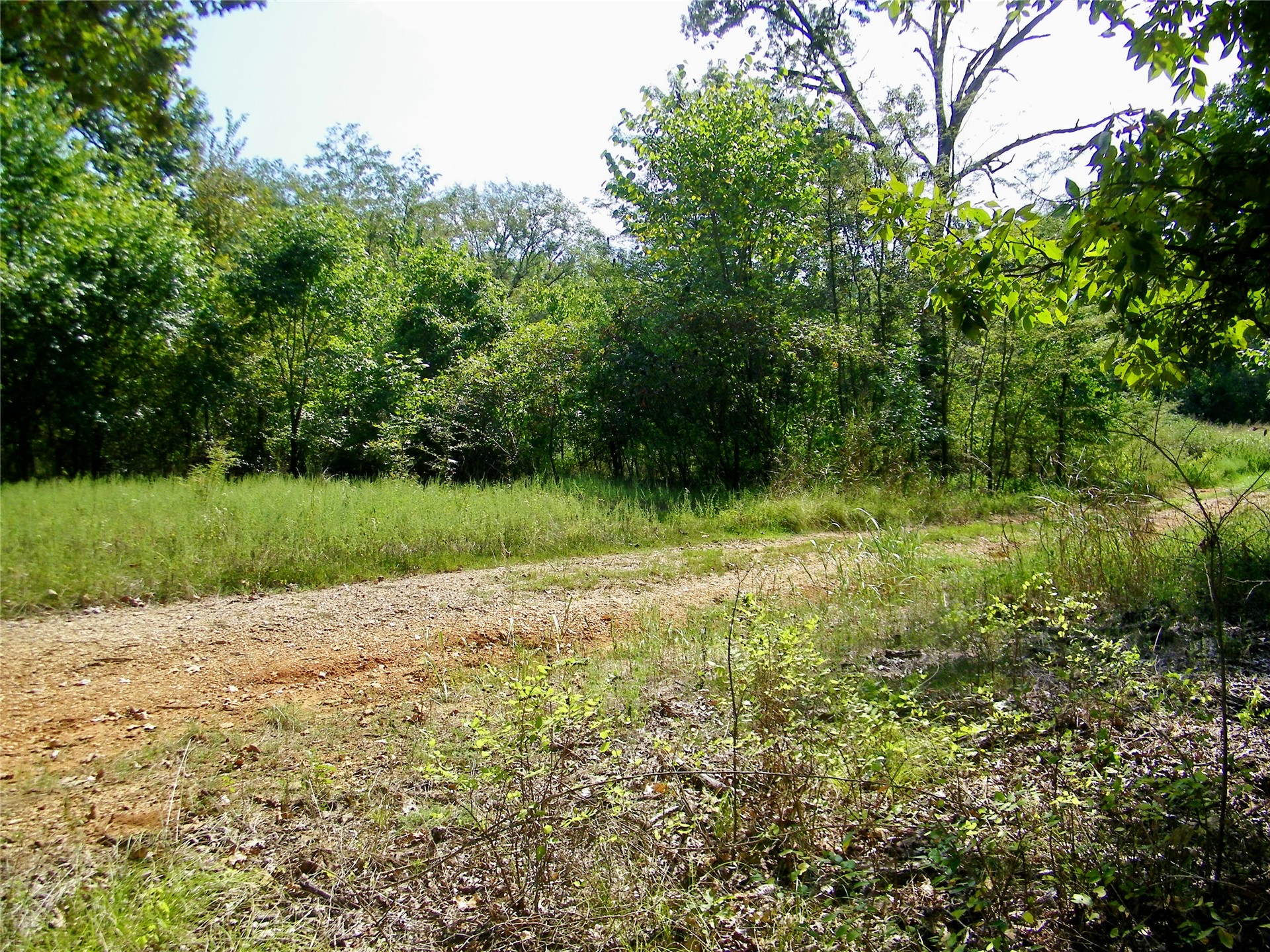 901 Sycamore Loop Property Photo 51