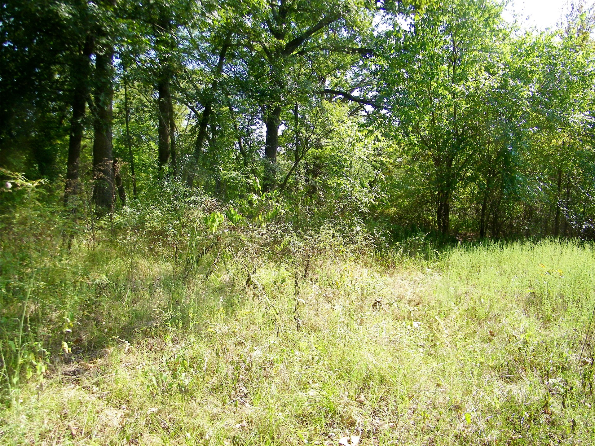 901 Sycamore Loop Property Photo 52