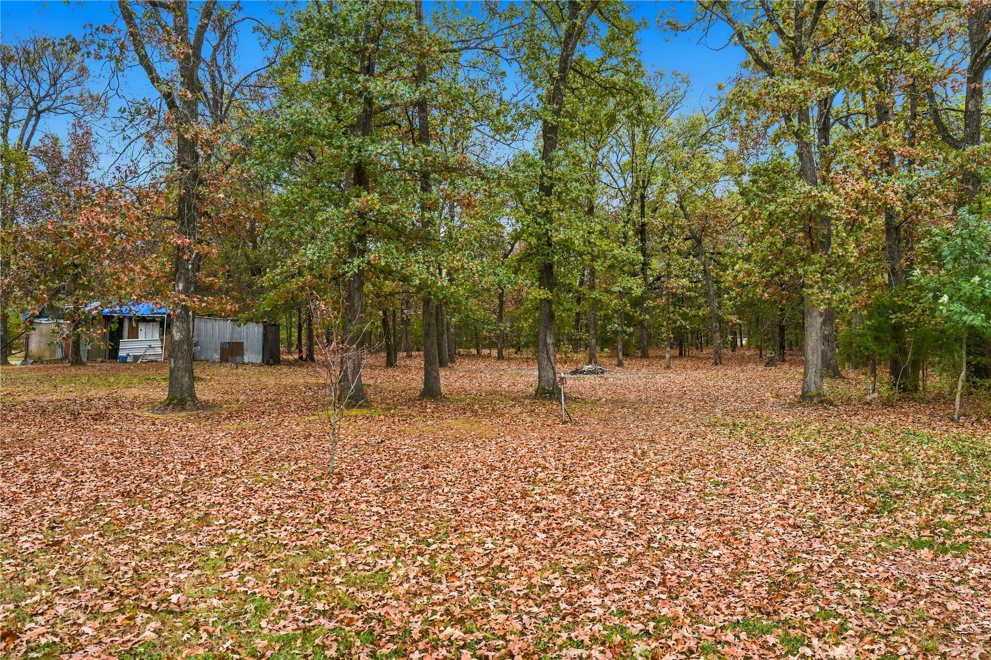 447098 E 1000 Road Property Photo 33