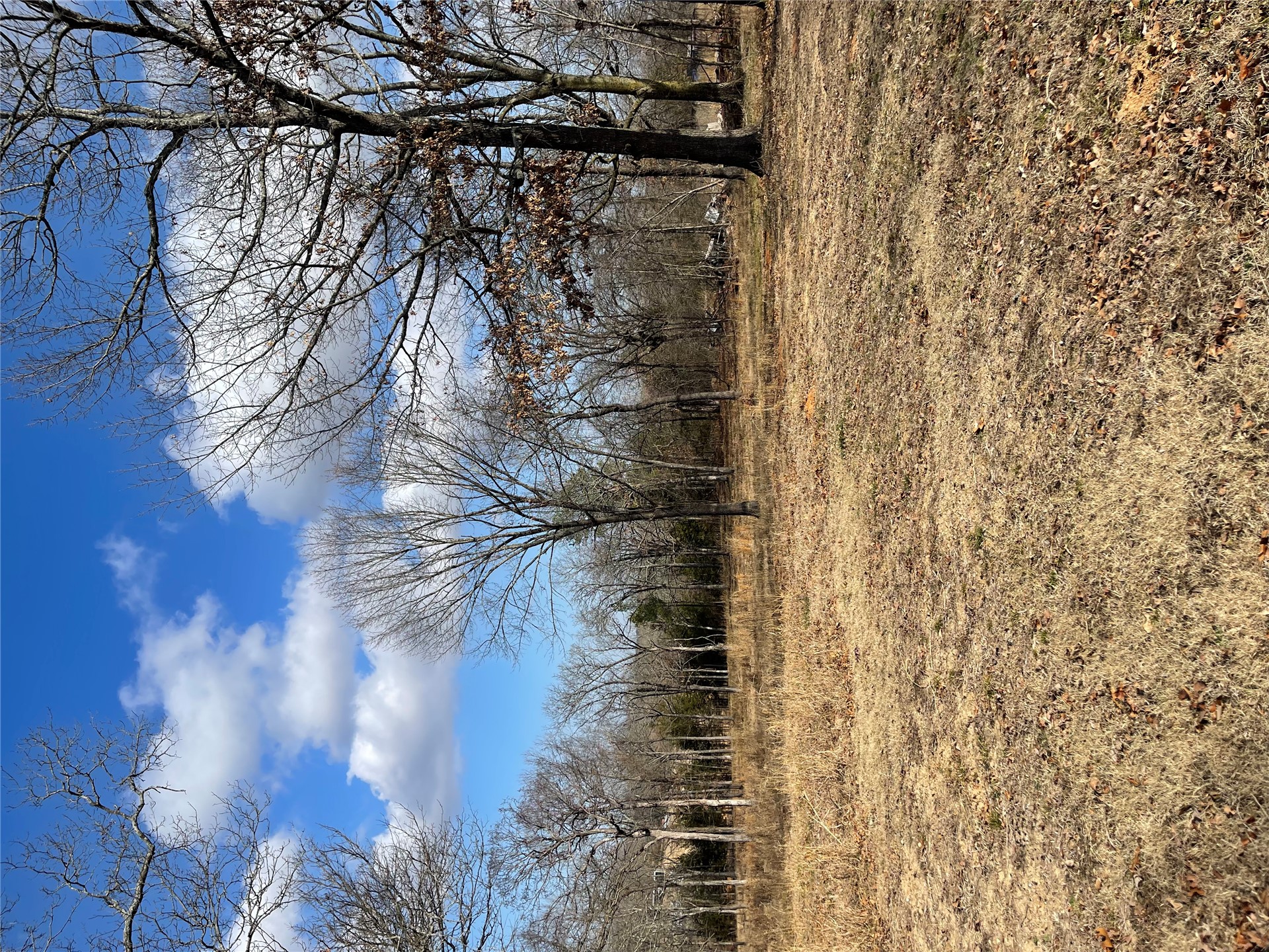 12078 S Forrest Hill Road Property Photo 5