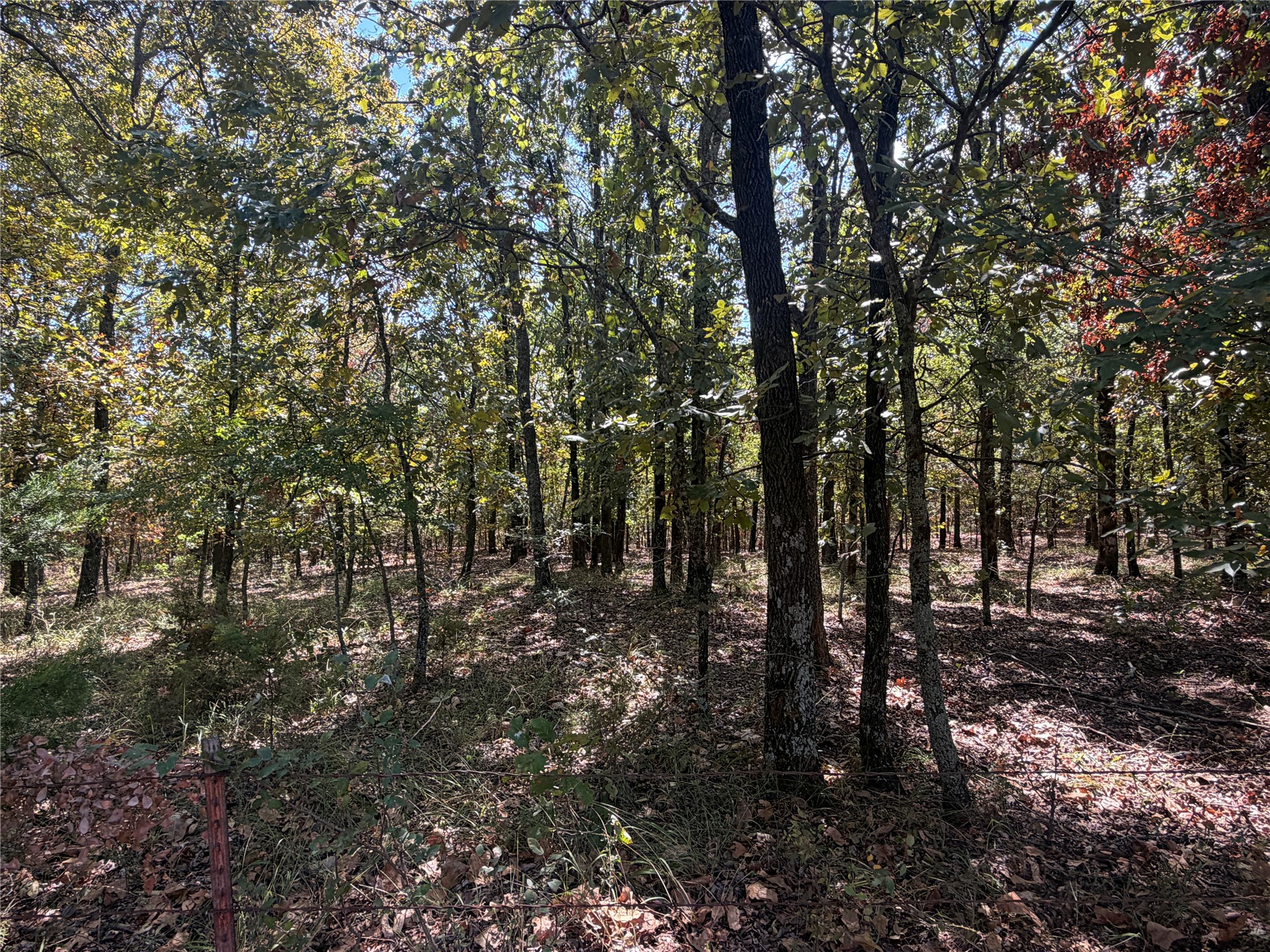Davis Road Property Photo 1