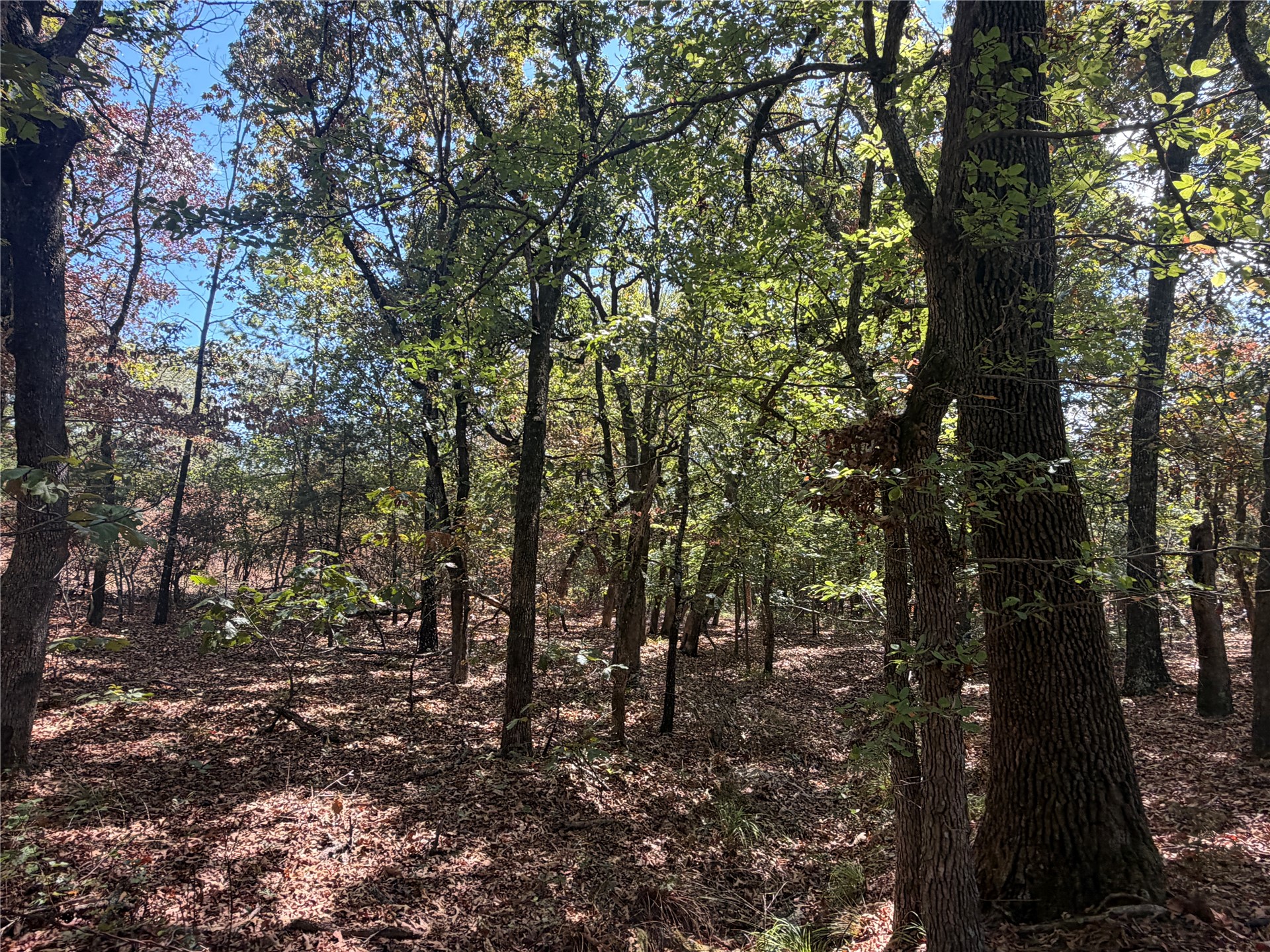 Davis Road Property Photo 3