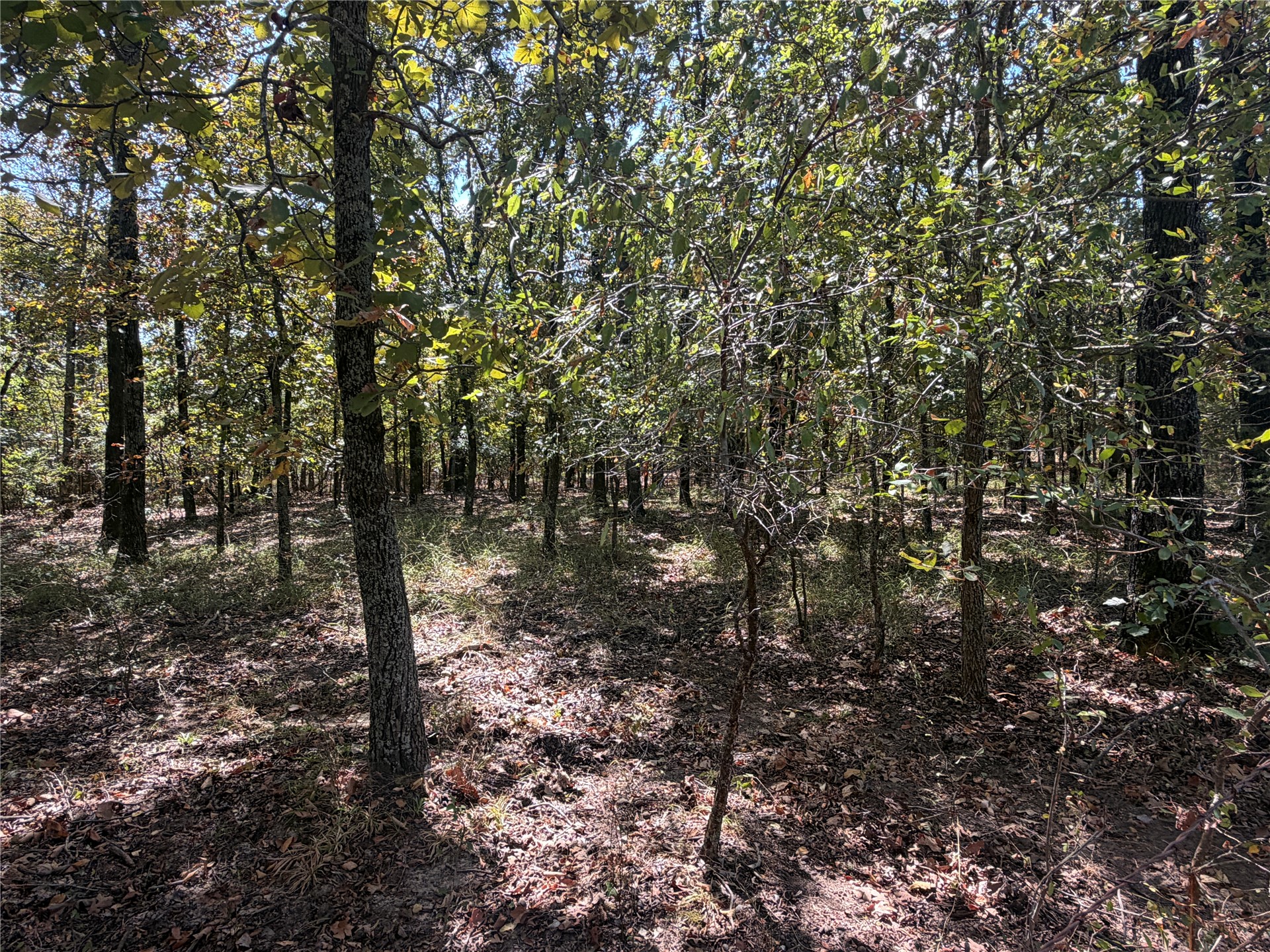 Davis Road Property Photo 5
