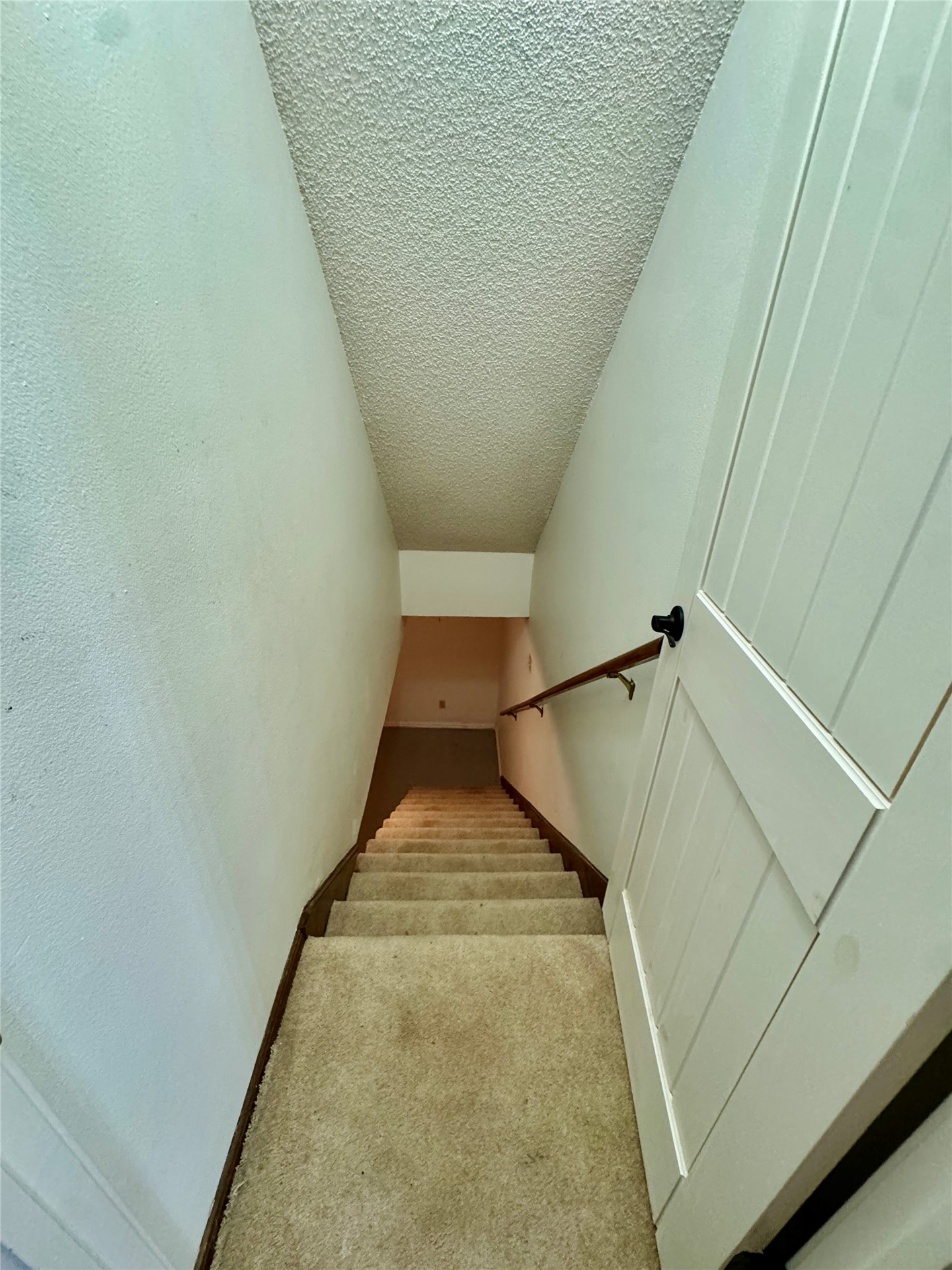 55 Falconhead Drive Property Photo 10