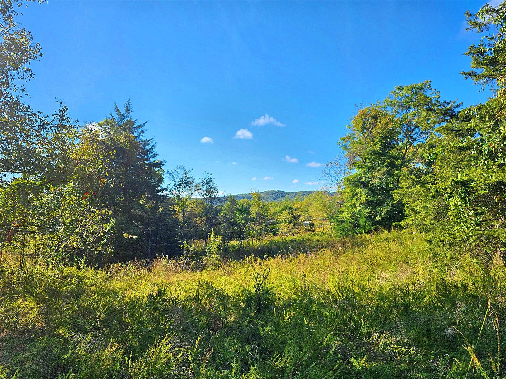 21088 E Steely Hollow Road Property Photo 9