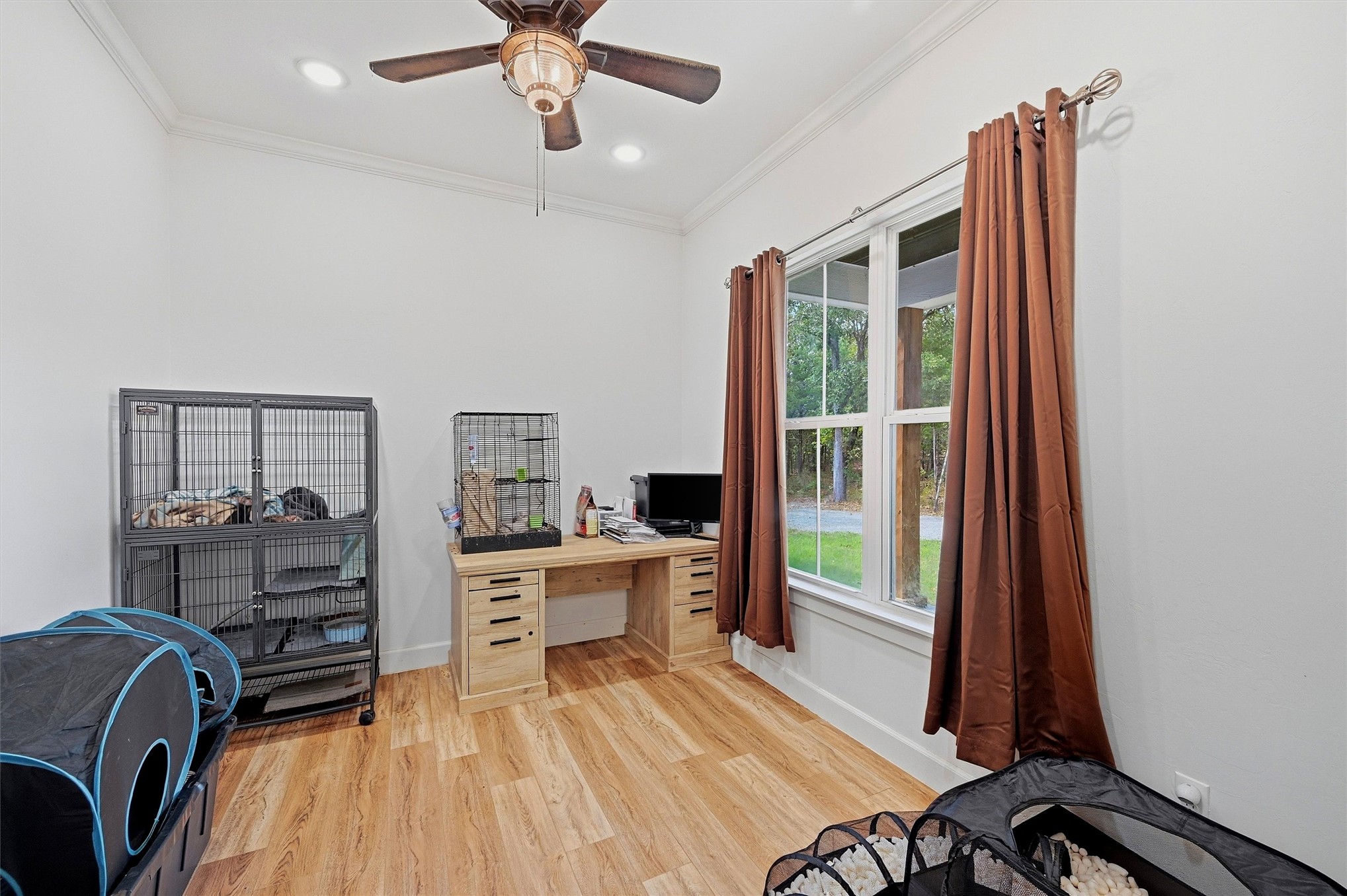 311 Xeno Way Property Photo 29