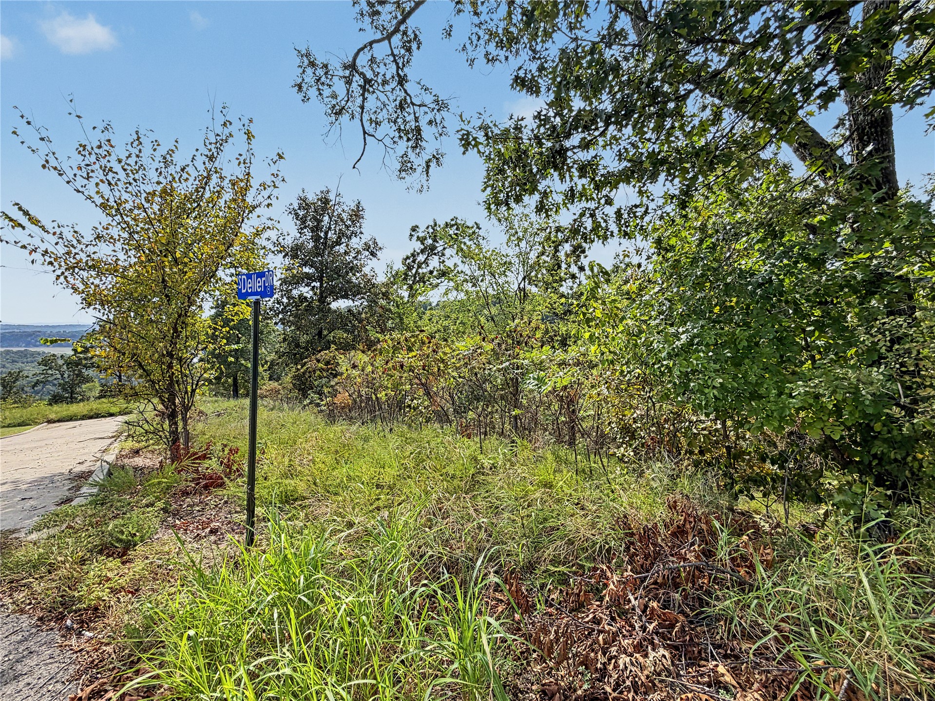23913 S Deller Drive Property Photo 22