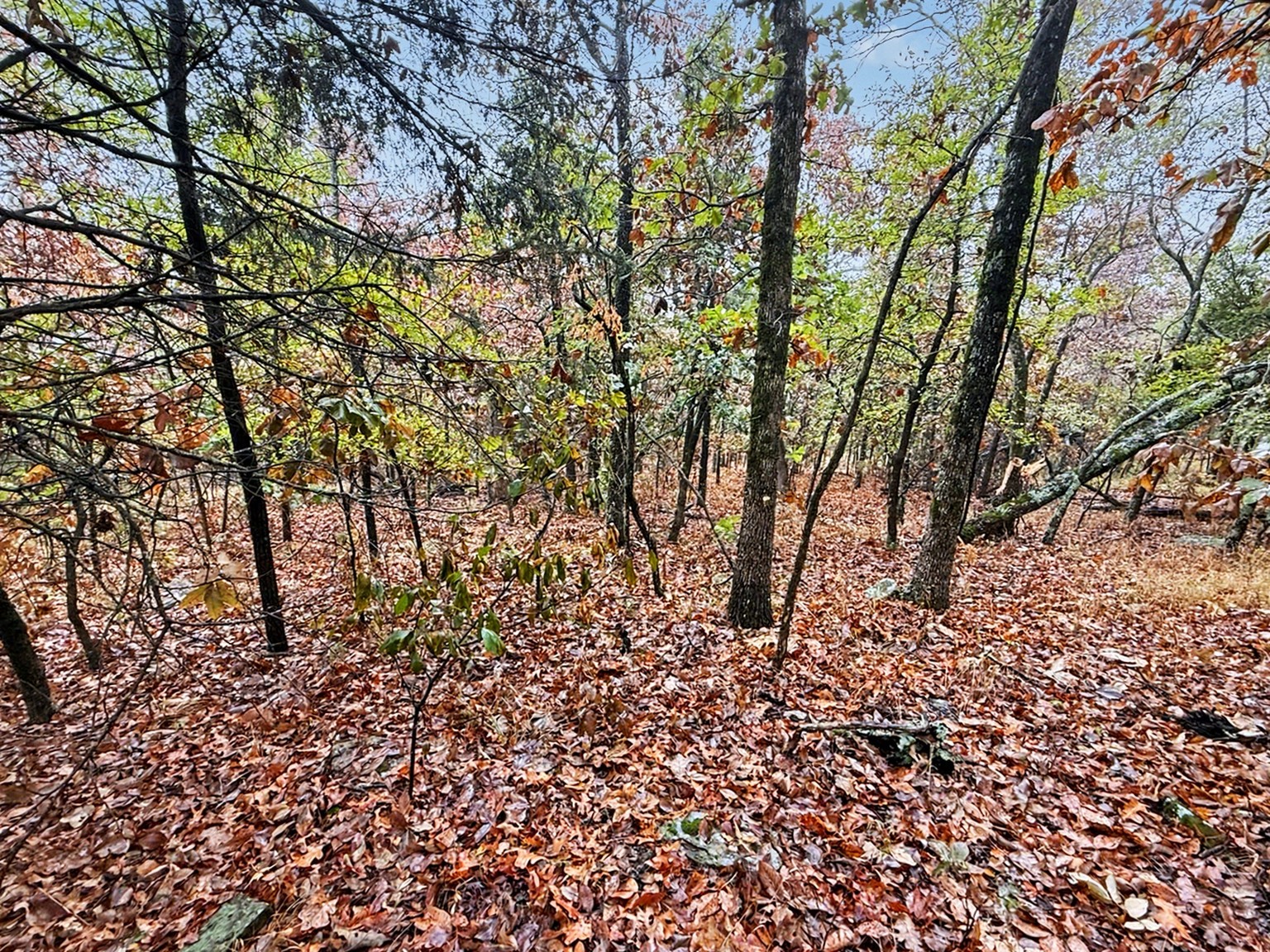 S 4545 Loop Property Photo 1