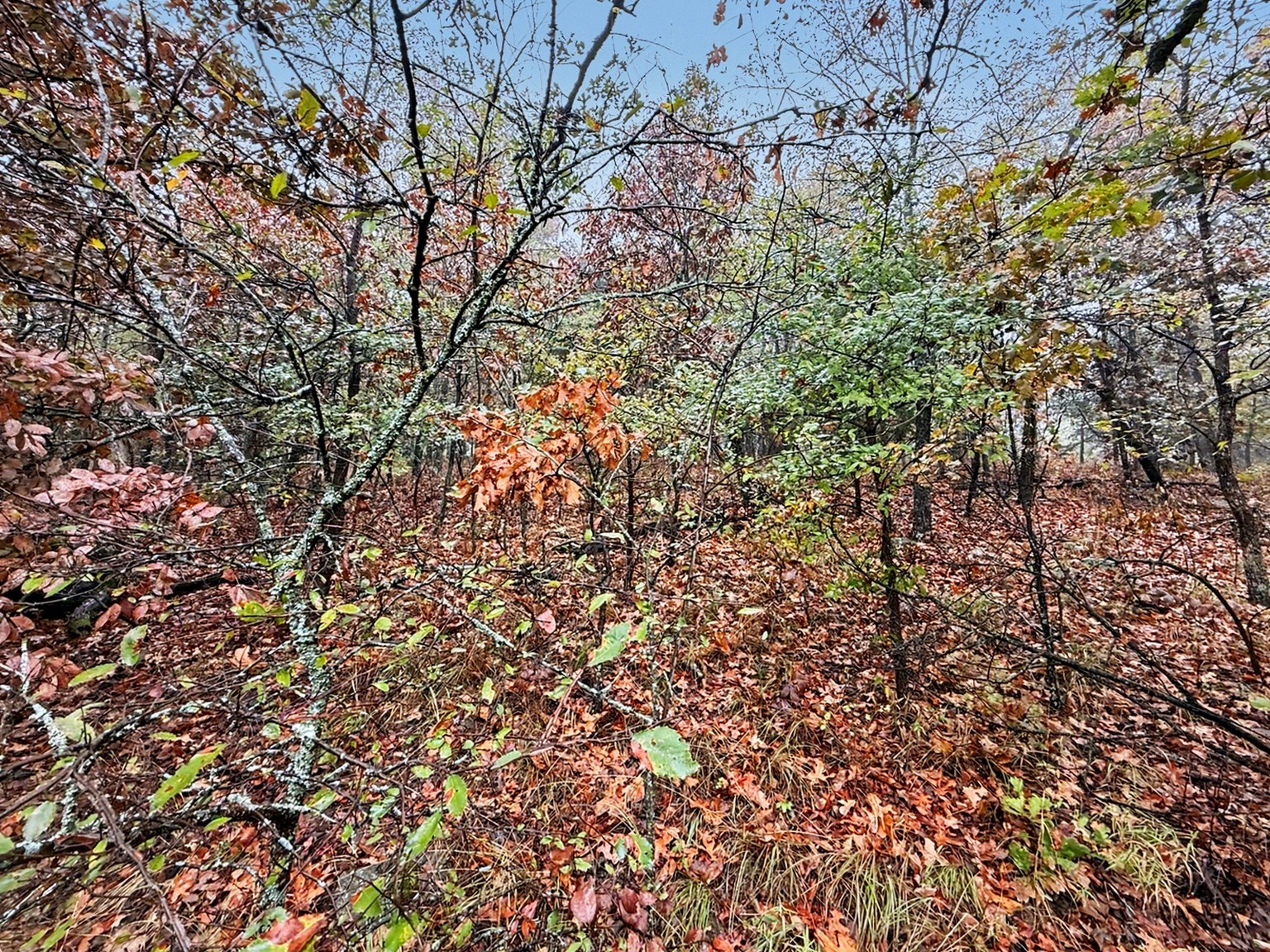 S 4545 Loop Property Photo 7