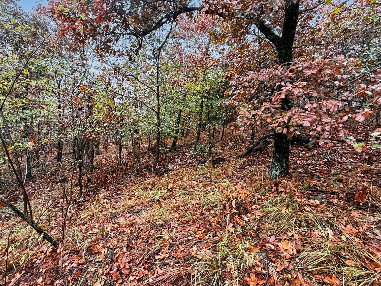 S 4545 Loop Property Photo 8