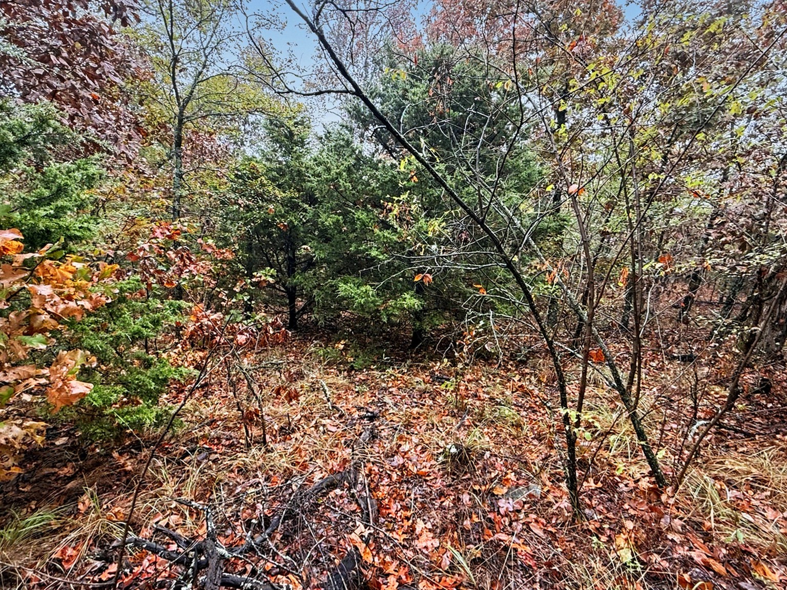S 4545 Loop Property Photo 9