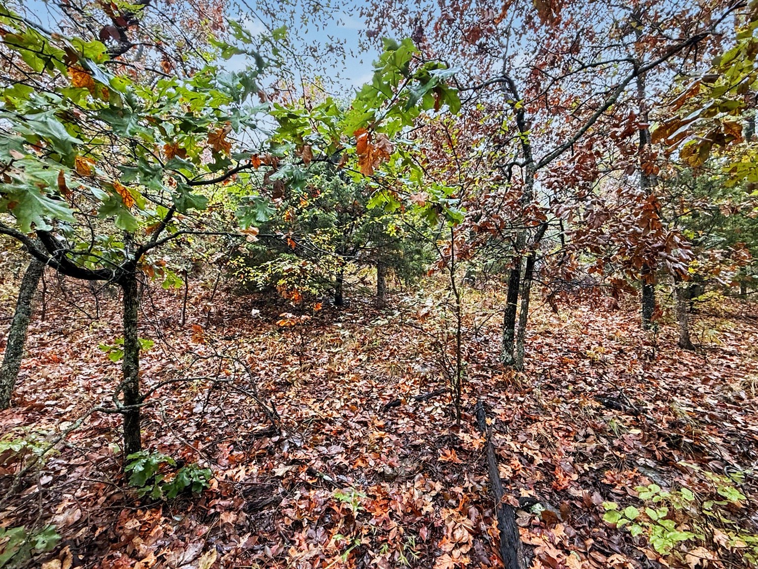 S 4545 Loop Property Photo 10