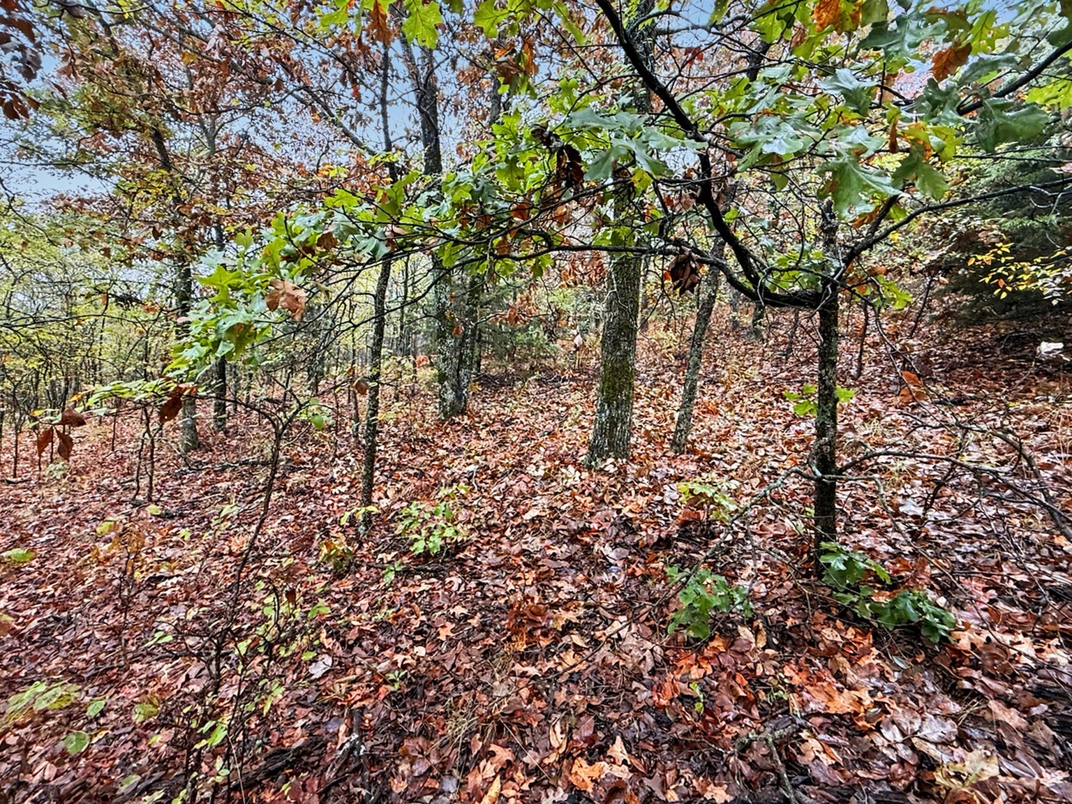 S 4545 Loop Property Photo 11