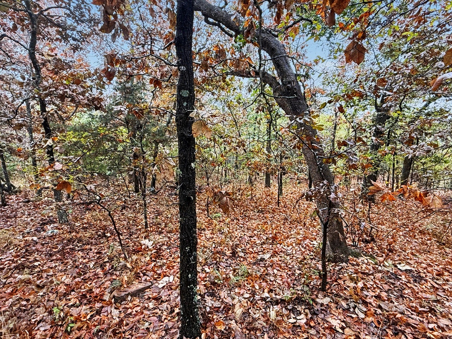 S 4545 Loop Property Photo 17