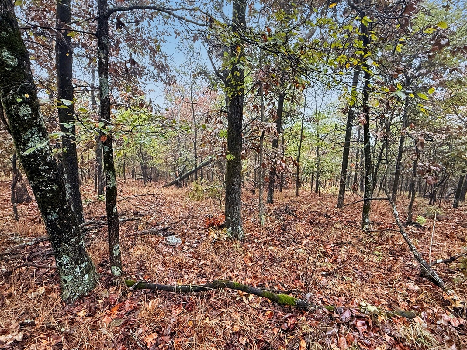 S 4545 Loop Property Photo 18