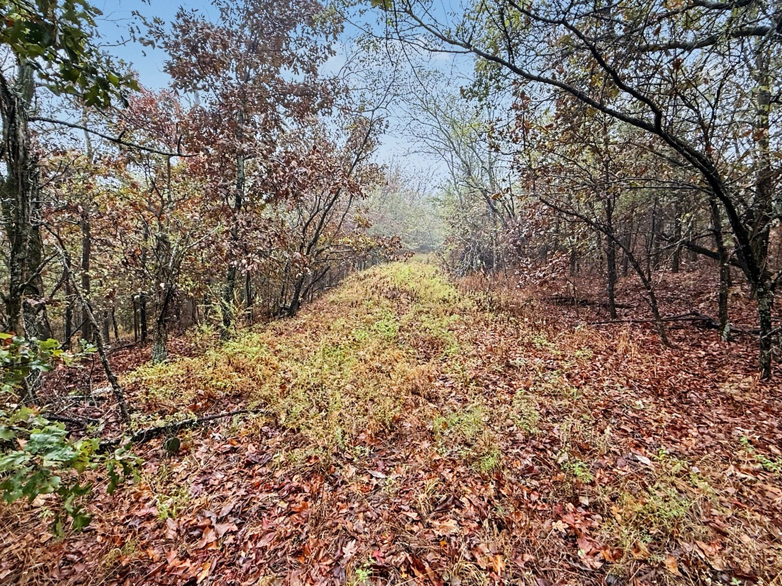 S 4545 Loop Property Photo 19