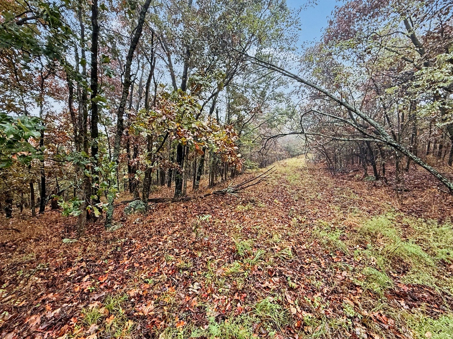 S 4545 Loop Property Photo 21