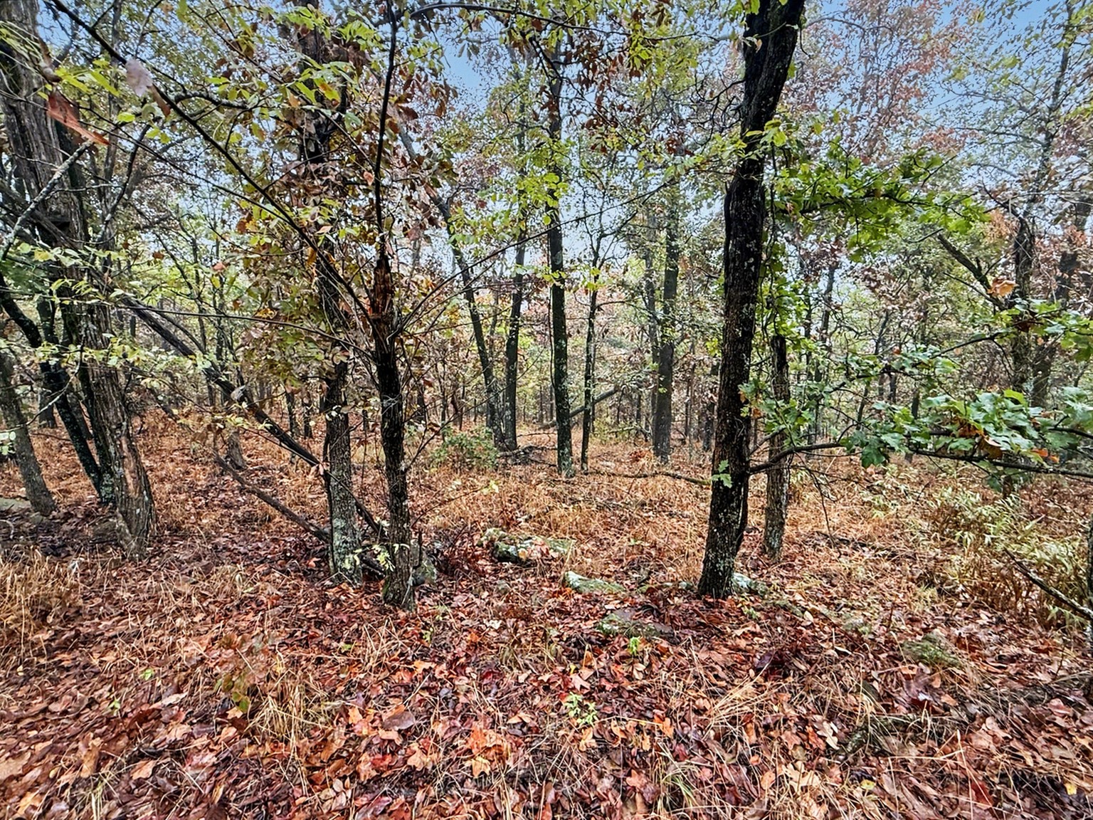 S 4545 Loop Property Photo 23