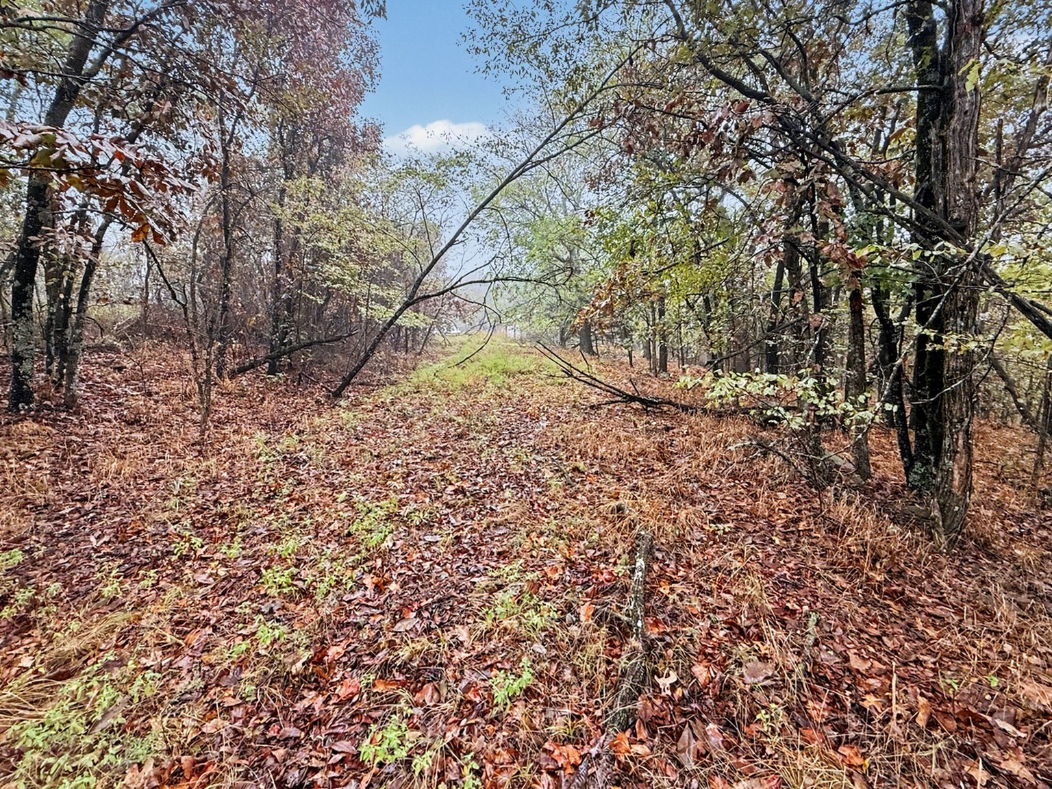 S 4545 Loop Property Photo 24