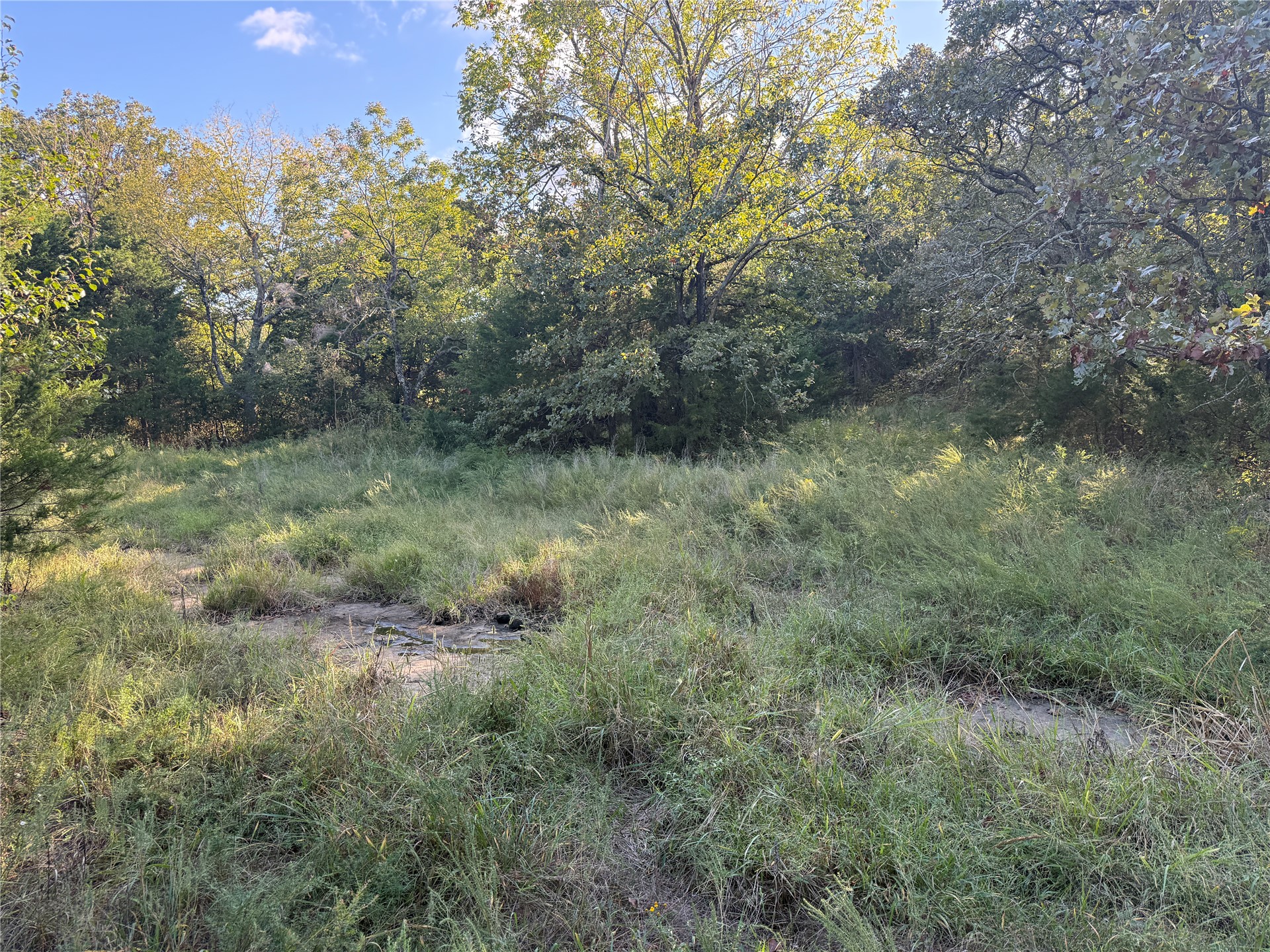 3302 S Campbell Creek Road Property Photo 13