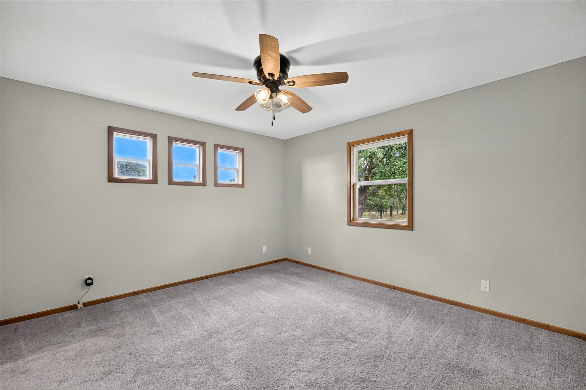 10636 Hwy 10 Property Photo 22