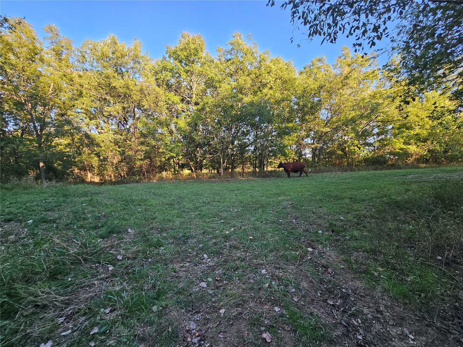 18402 E 335 Road Property Photo 36